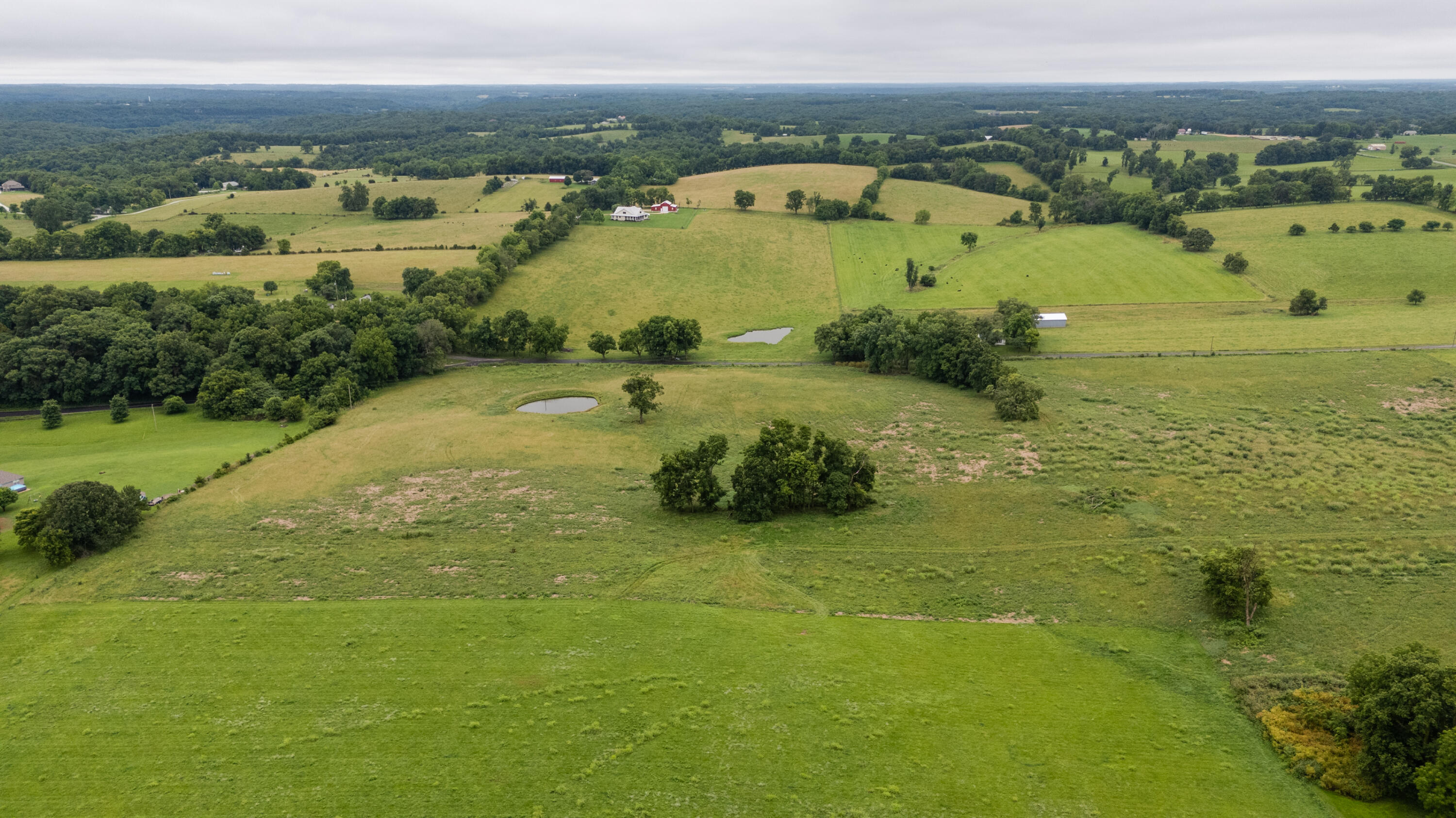 Photo 11 - Land for sale – Tract 2  Fraizer Road  Clever, MO