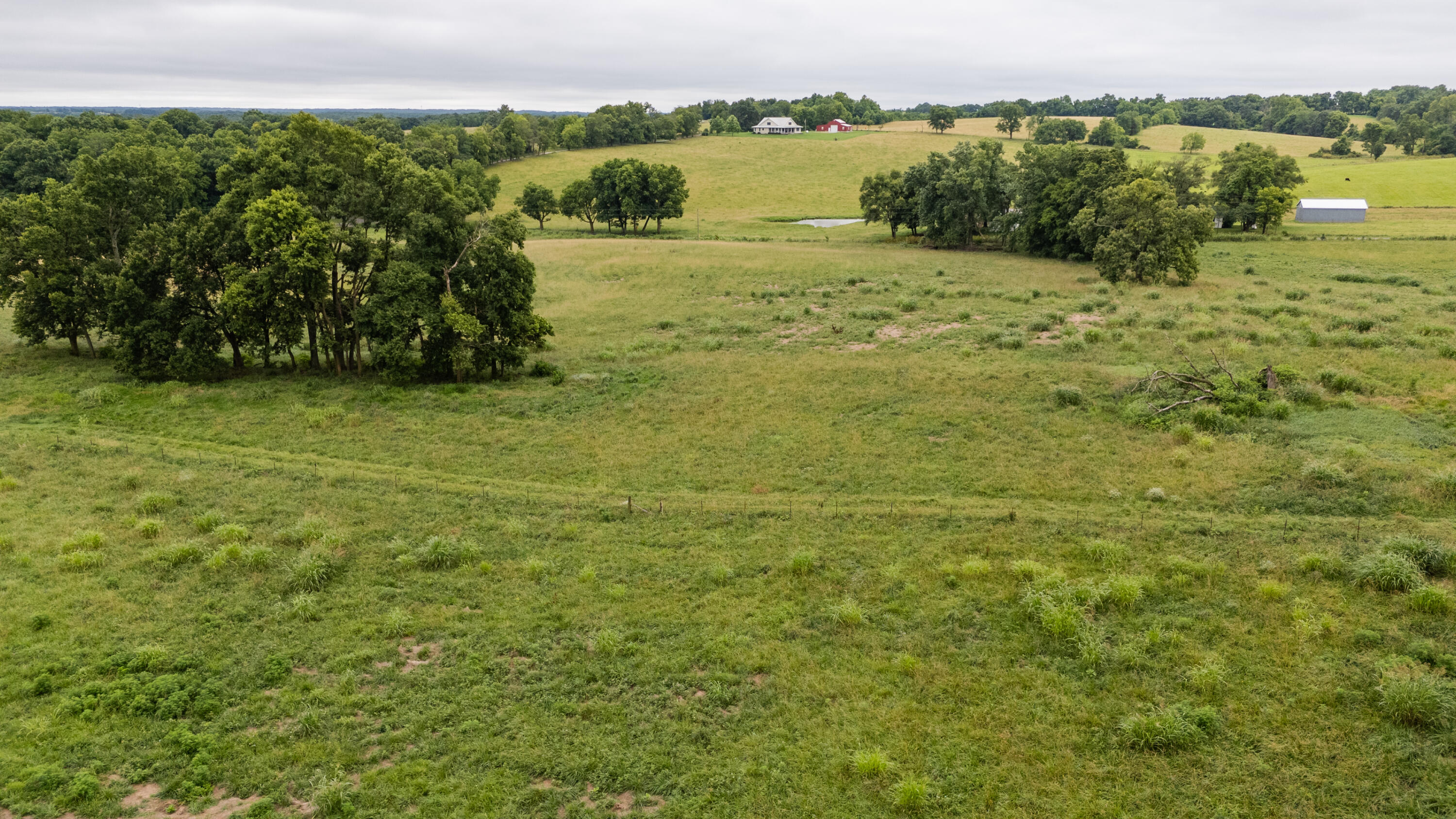 Photo 15 - Land for sale – Tract 2  Fraizer Road  Clever, MO