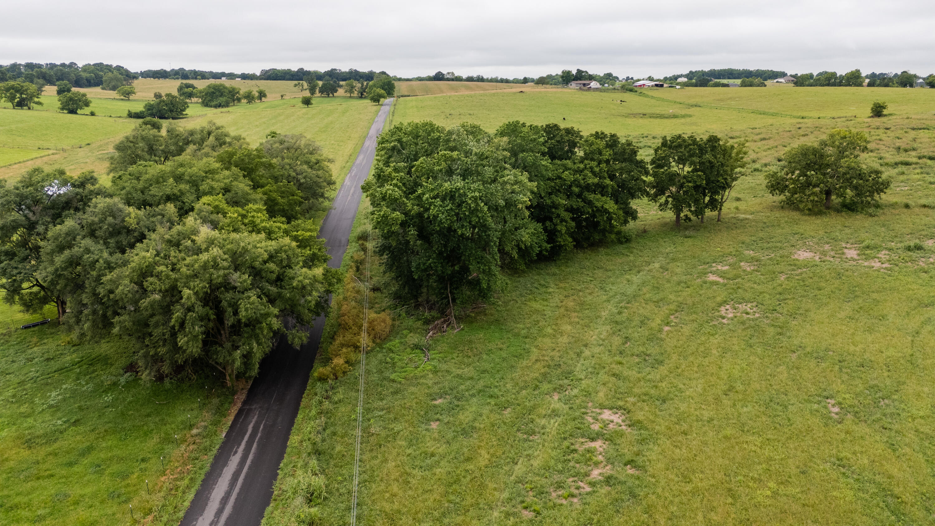 Photo 13 - Land for sale – Tract 2  Fraizer Road  Clever, MO