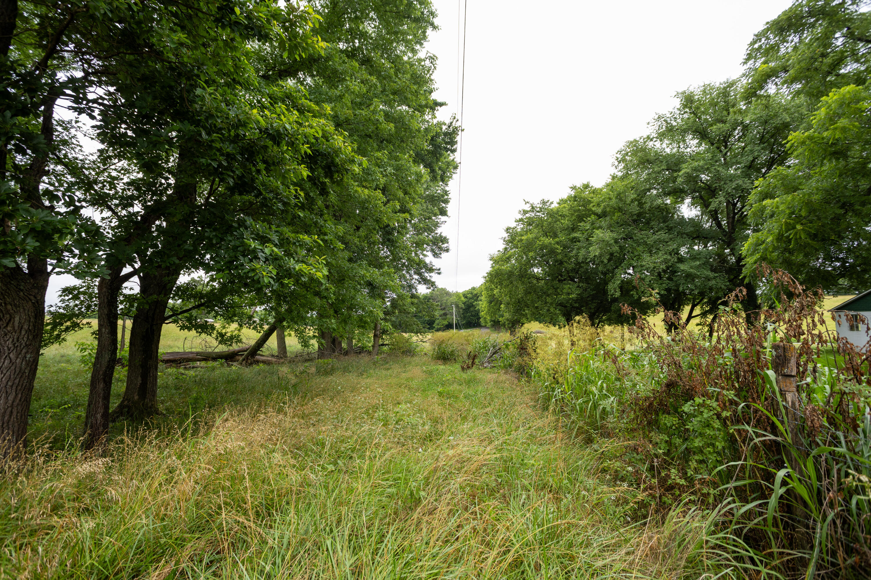 Photo 16 - Land for sale – Tract 2  Fraizer Road  Clever, MO