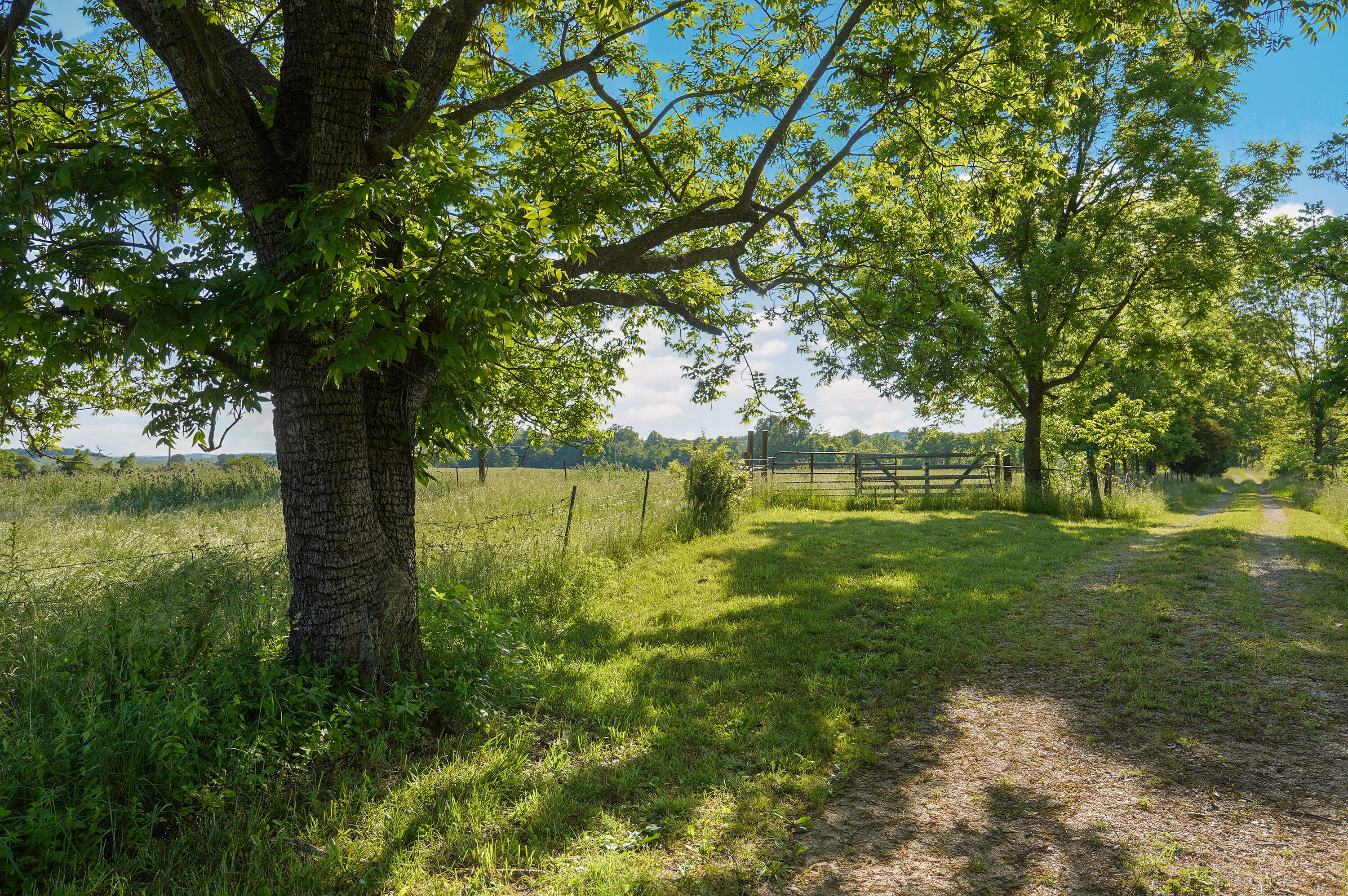 Photo 46 - Farm for sale – 9593  County Road 9660   Koshkonong, MO