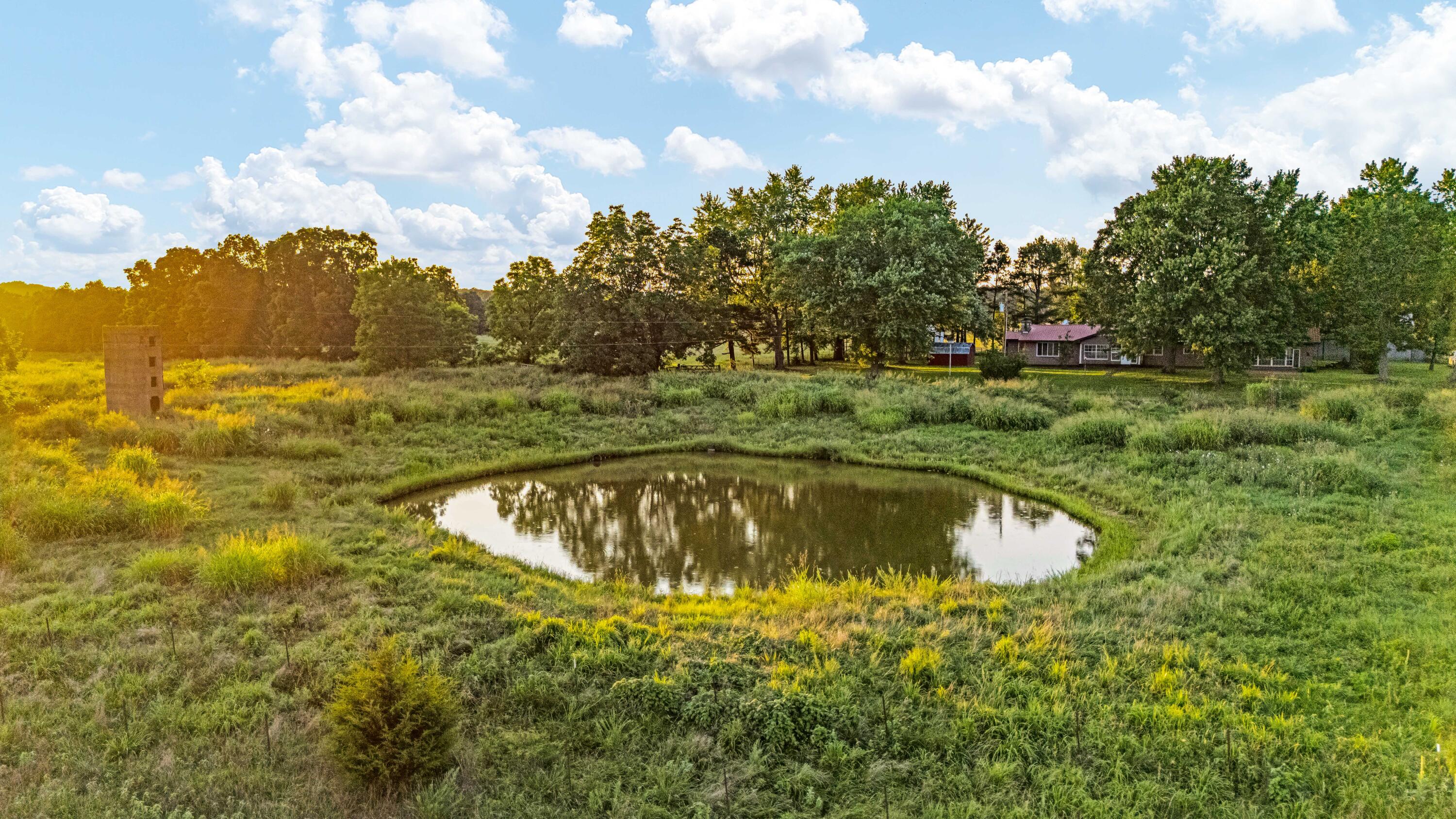Photo 67 - Farm for sale – 9593  County Road 9660   Koshkonong, MO