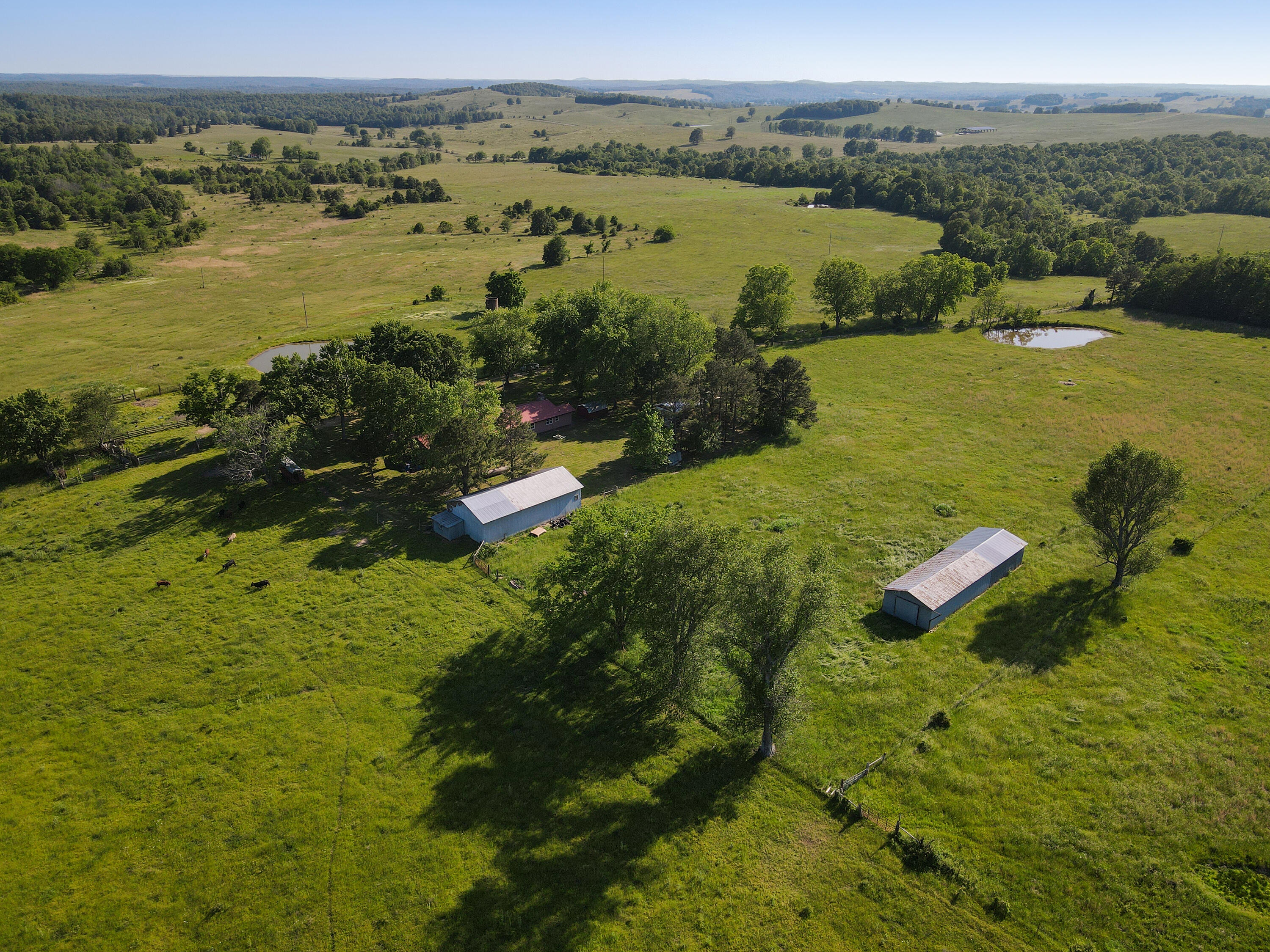 Photo 4 - Farm for sale – 9593  County Road 9660   Koshkonong, MO