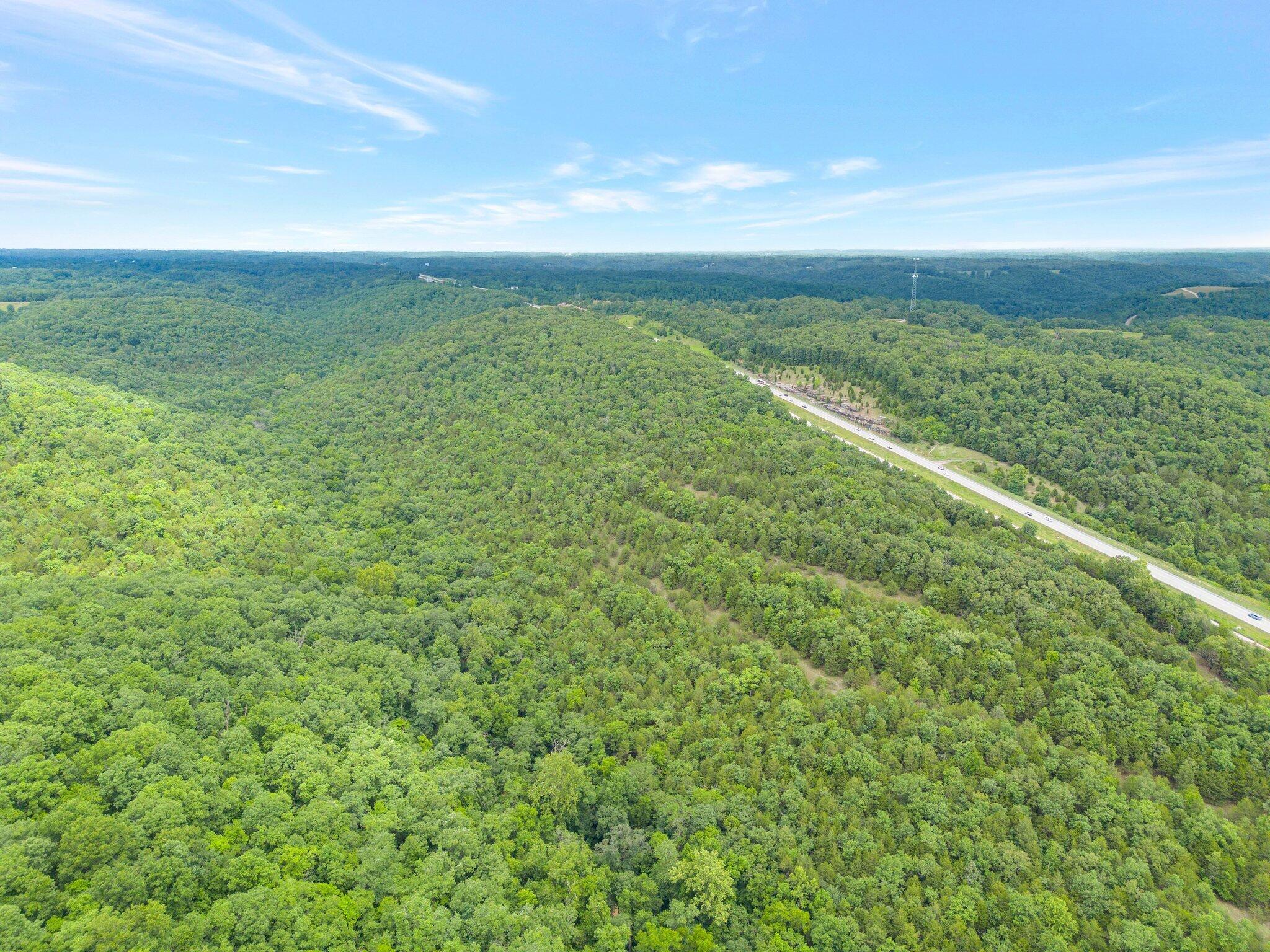 Photo 3 - Land for sale – 000  State Hwy 65   Highlandville, MO