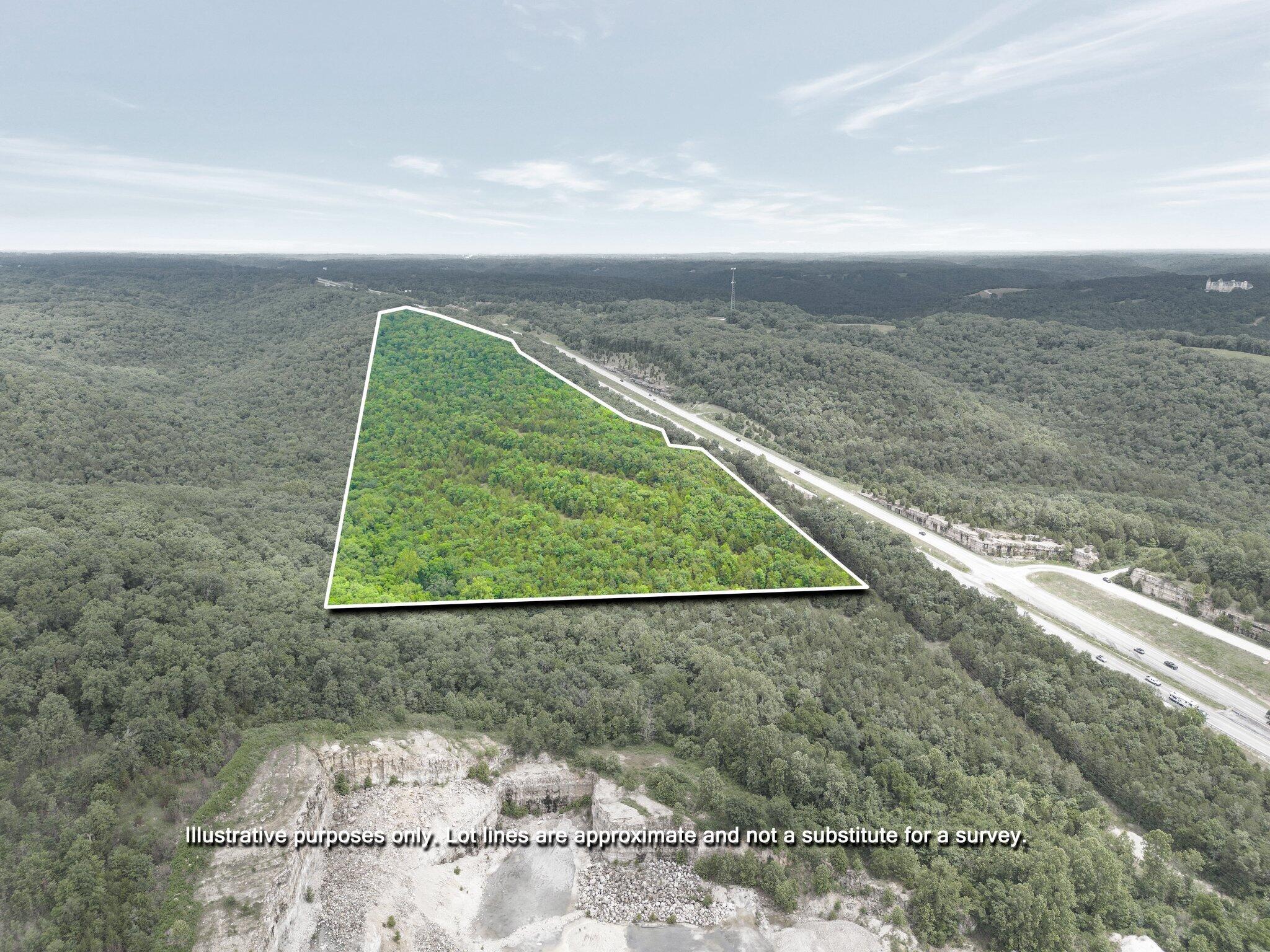 Photo 6 - Land for sale – 000  State Hwy 65   Highlandville, MO