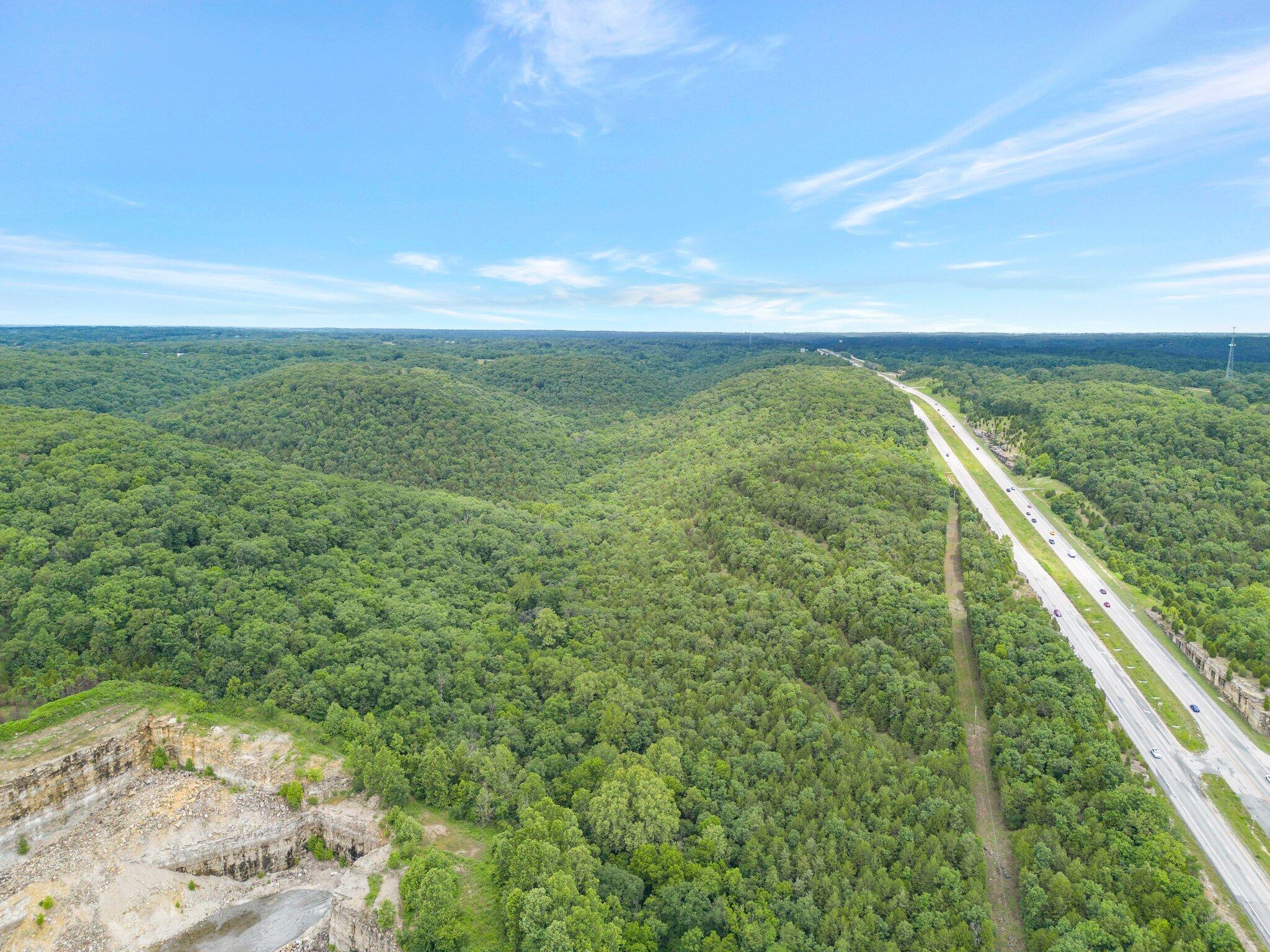 Photo 5 - Land for sale – 000  State Hwy 65   Highlandville, MO
