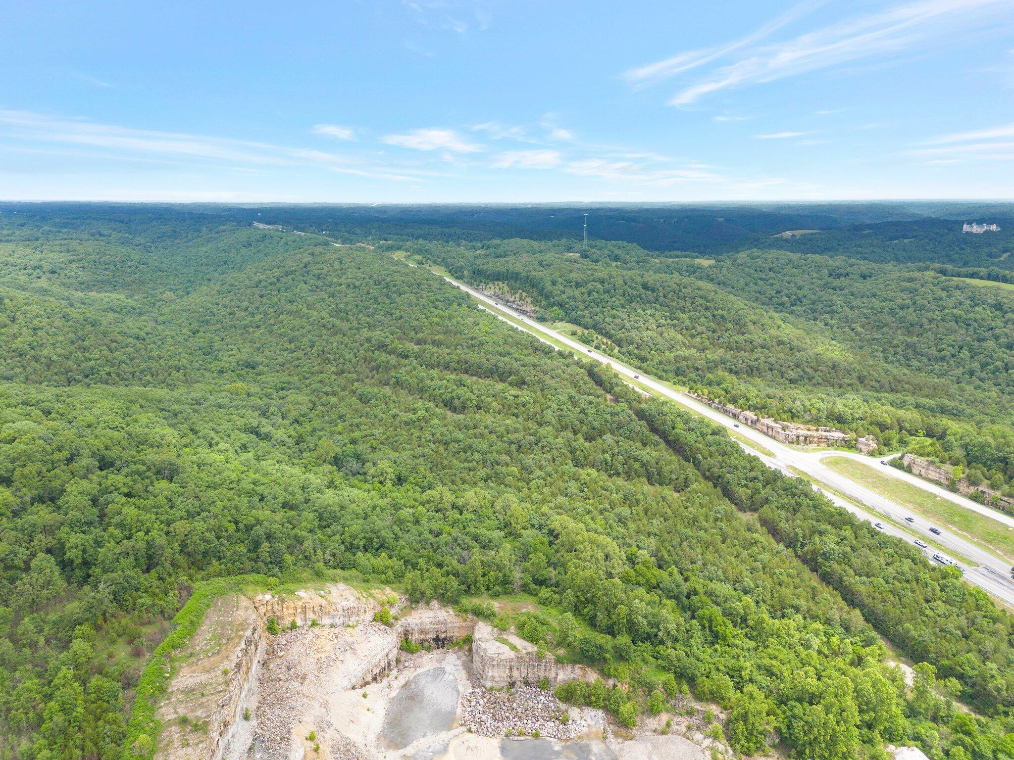 Land for sale – 000  State Hwy 65   Highlandville, MO