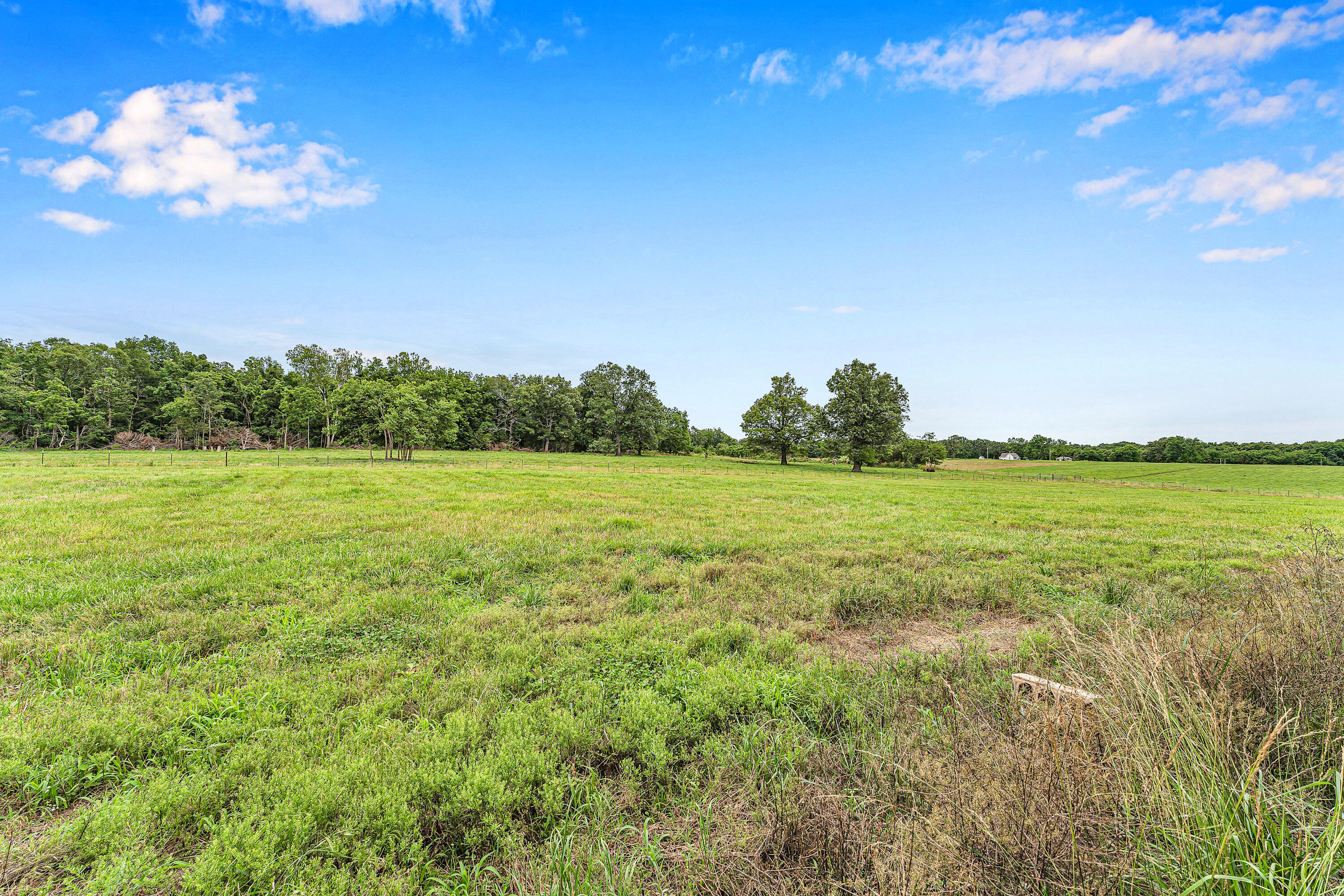 Photo 50 - Residential for sale – 4304 S Farm Road 29   Billings, MO