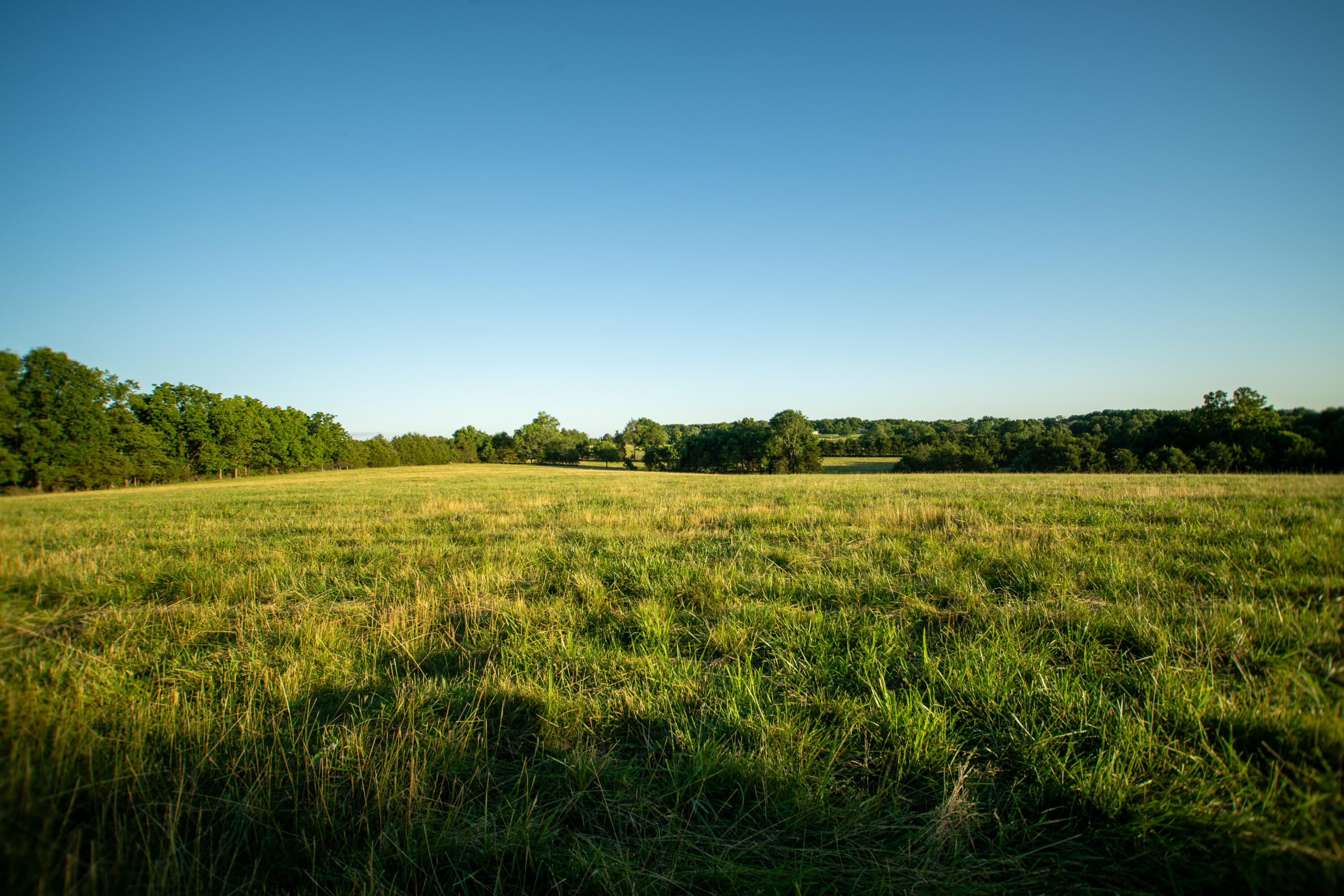 Photo 9 - Land for sale – 000  State Highway O   Highlandville, MO