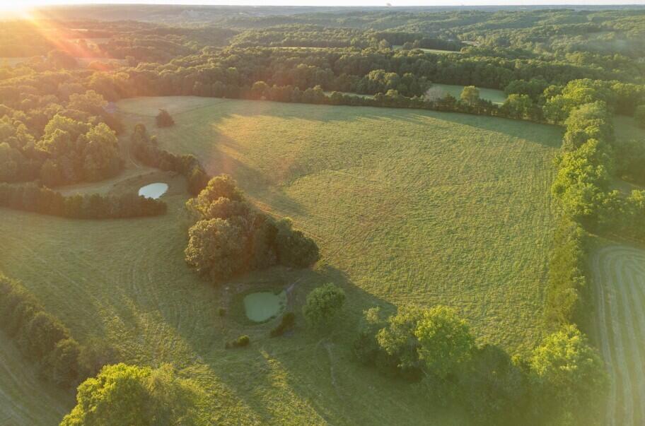 Photo 13 - Land for sale – 000  State Highway O   Highlandville, MO