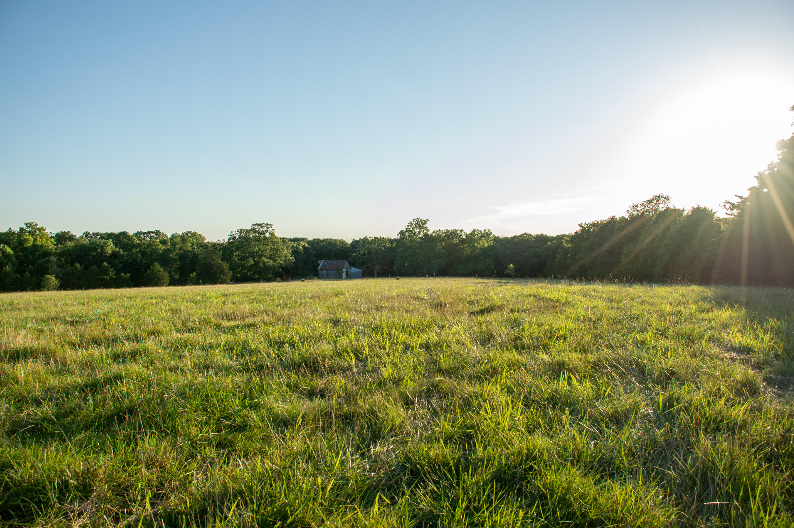 Photo 10 - Land for sale – 000  State Highway O   Highlandville, MO
