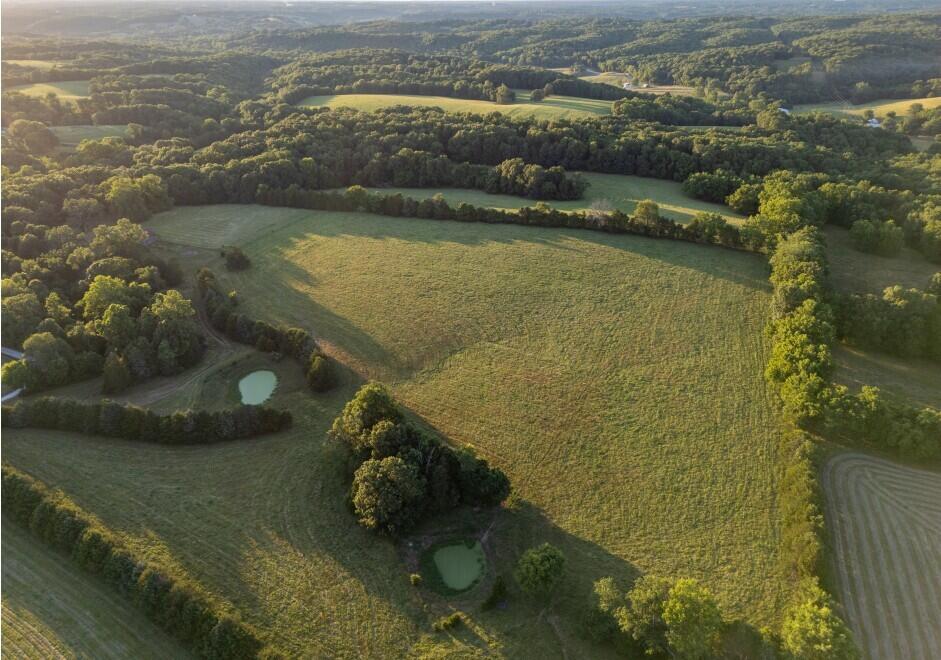 Photo 12 - Land for sale – 000  State Highway O   Highlandville, MO