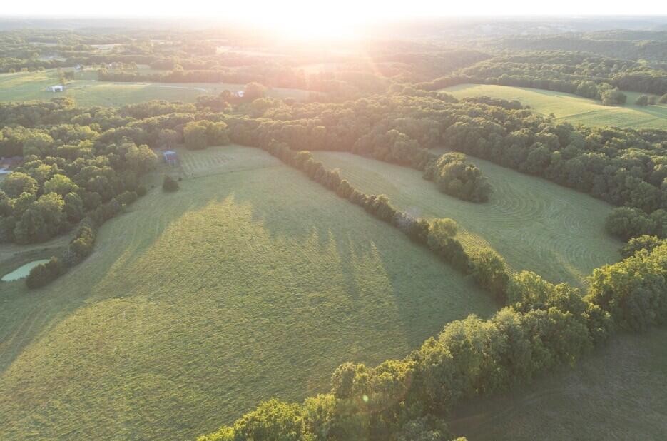 Photo 15 - Land for sale – 000  State Highway O   Highlandville, MO