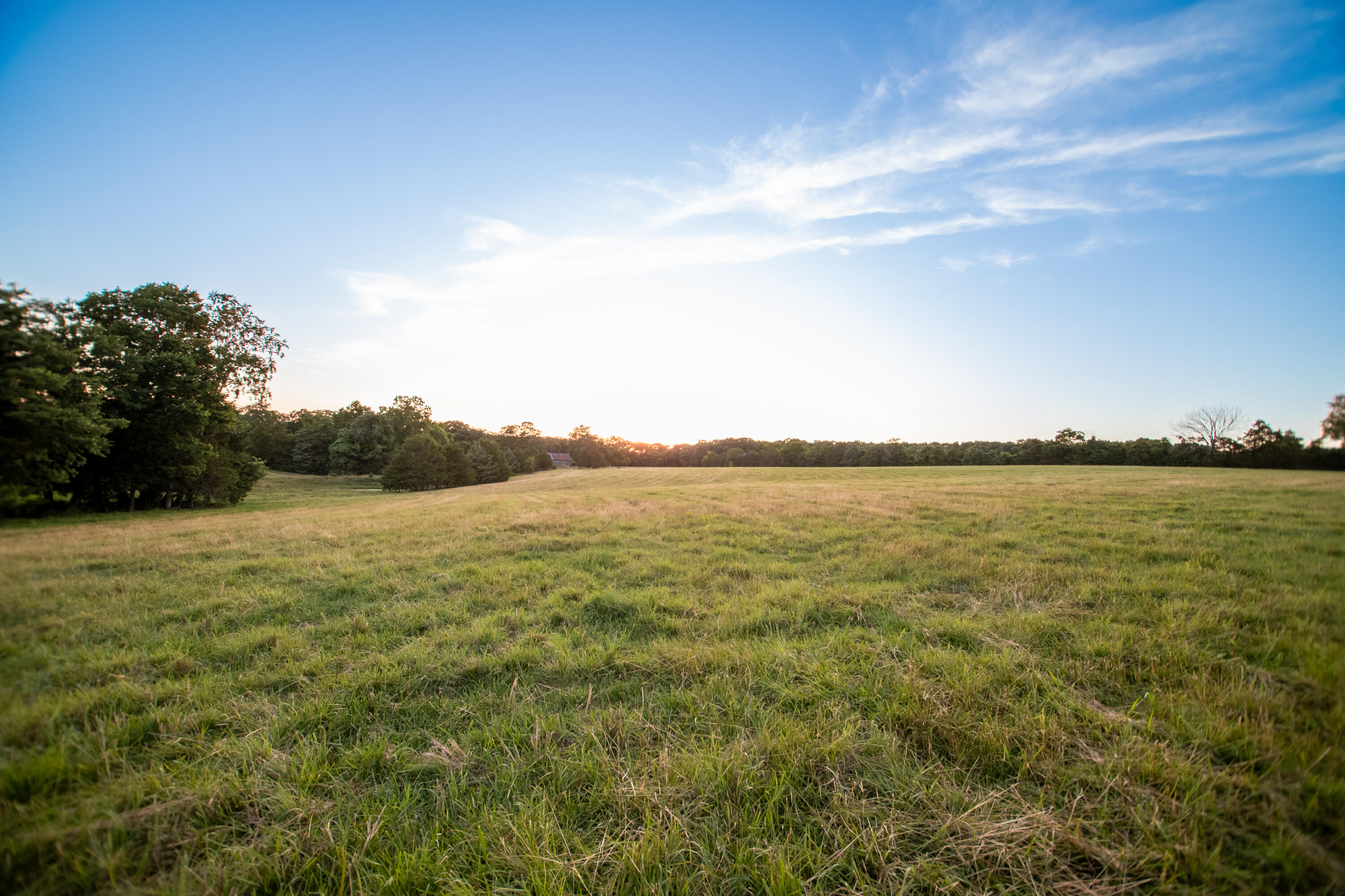 Photo 4 - Land for sale – 000  State Highway O   Highlandville, MO