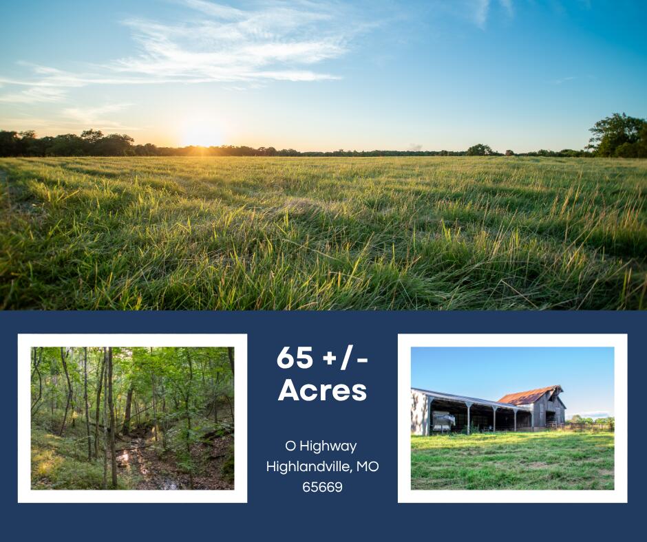 Land for sale – 000 State Highway O Highlandville, MO