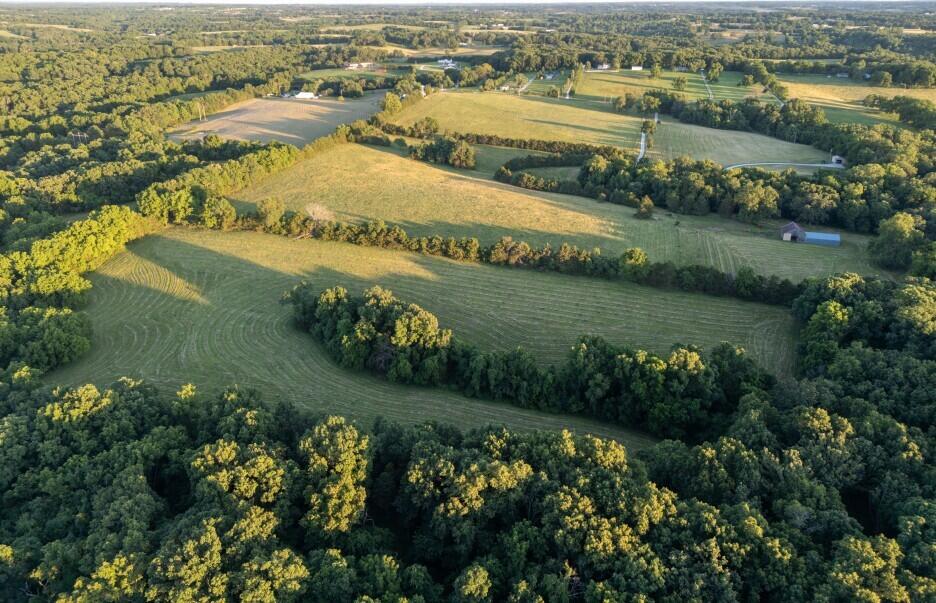 Photo 16 - Land for sale – 000  State Highway O   Highlandville, MO