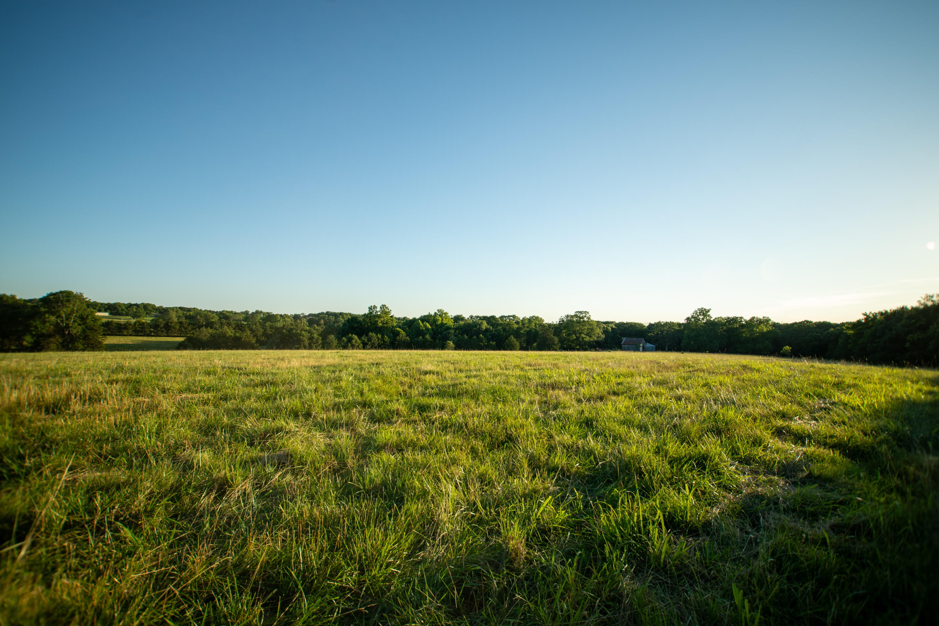 Photo 11 - Land for sale – 000  State Highway O   Highlandville, MO