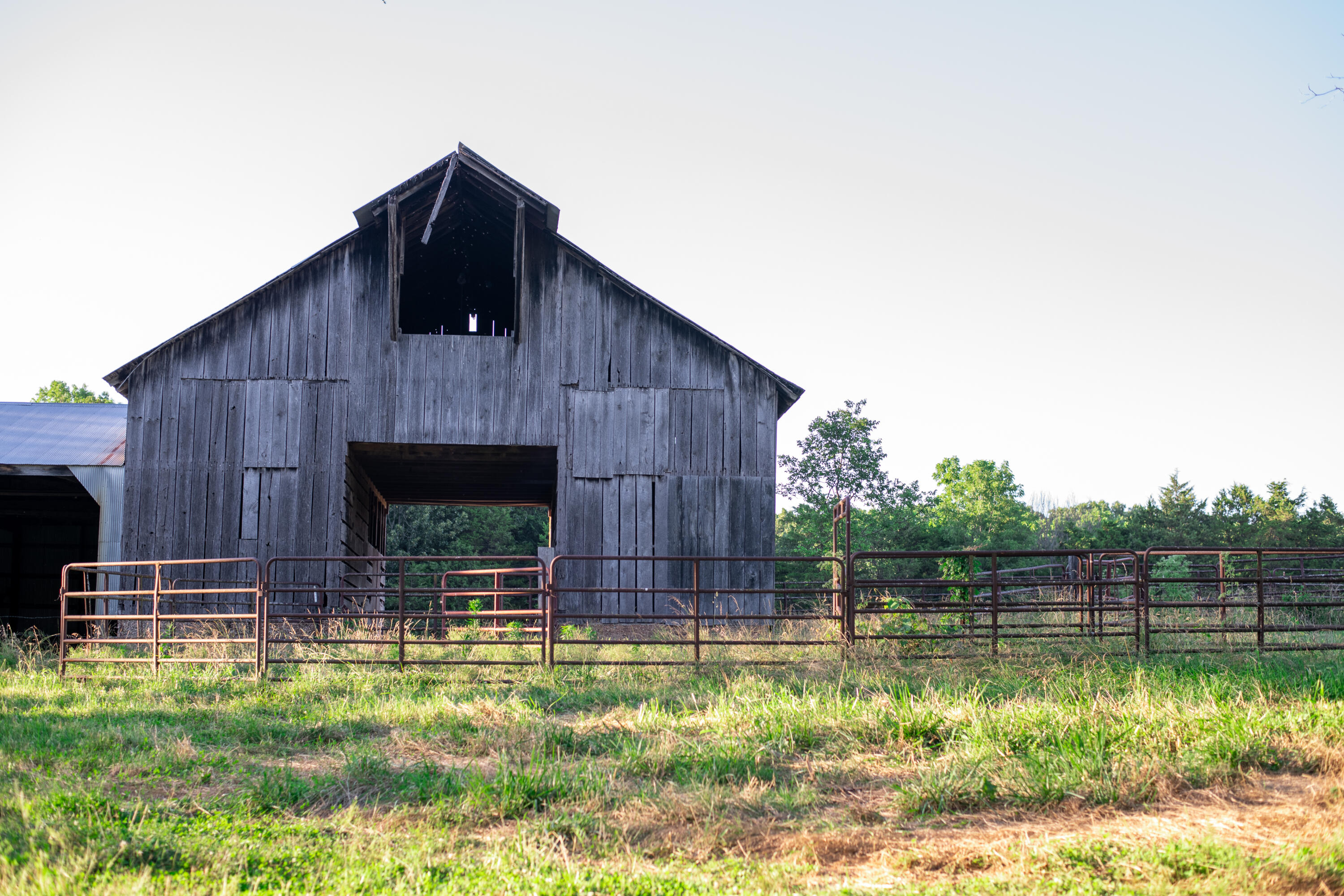 Photo 6 - Land for sale – 000  State Highway O   Highlandville, MO