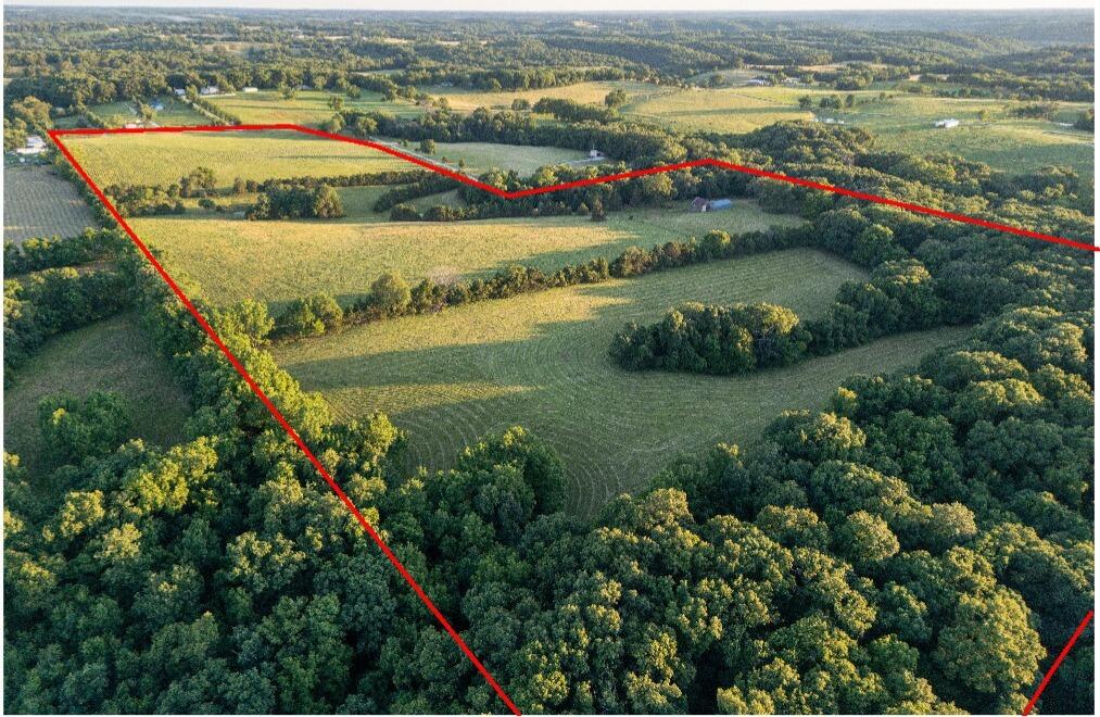 Photo 17 - Land for sale – 000  State Highway O   Highlandville, MO