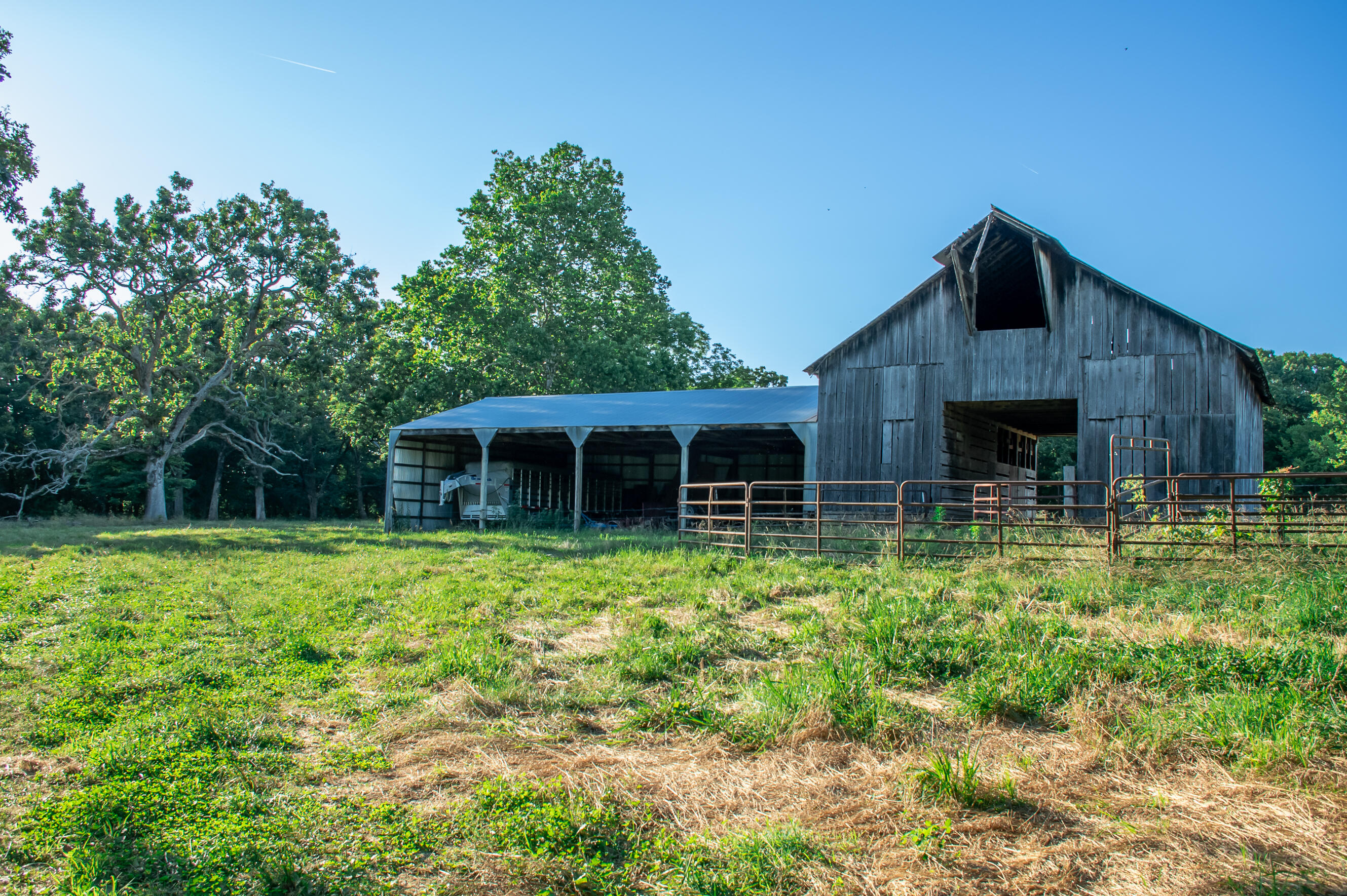 Photo 7 - Land for sale – 000  State Highway O   Highlandville, MO