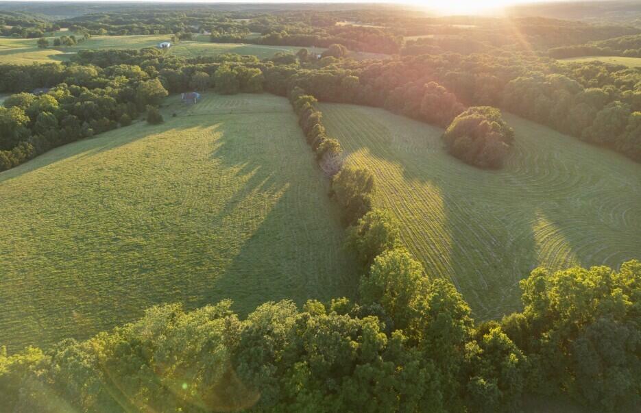 Photo 14 - Land for sale – 000  State Highway O   Highlandville, MO