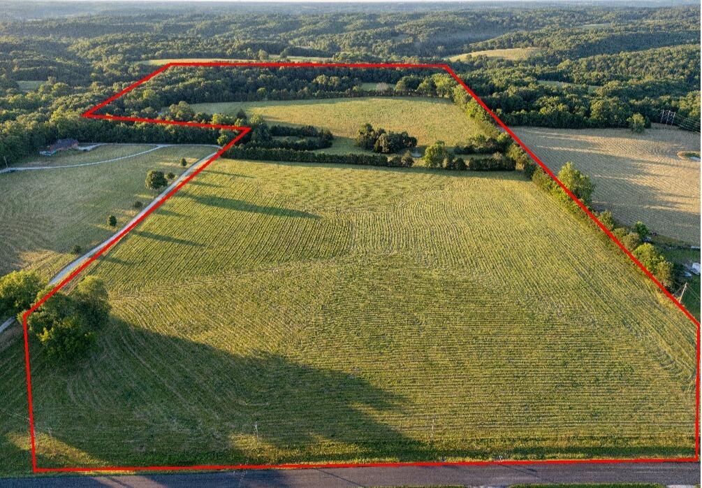 Photo 2 - Land for sale – 000  State Highway O   Highlandville, MO