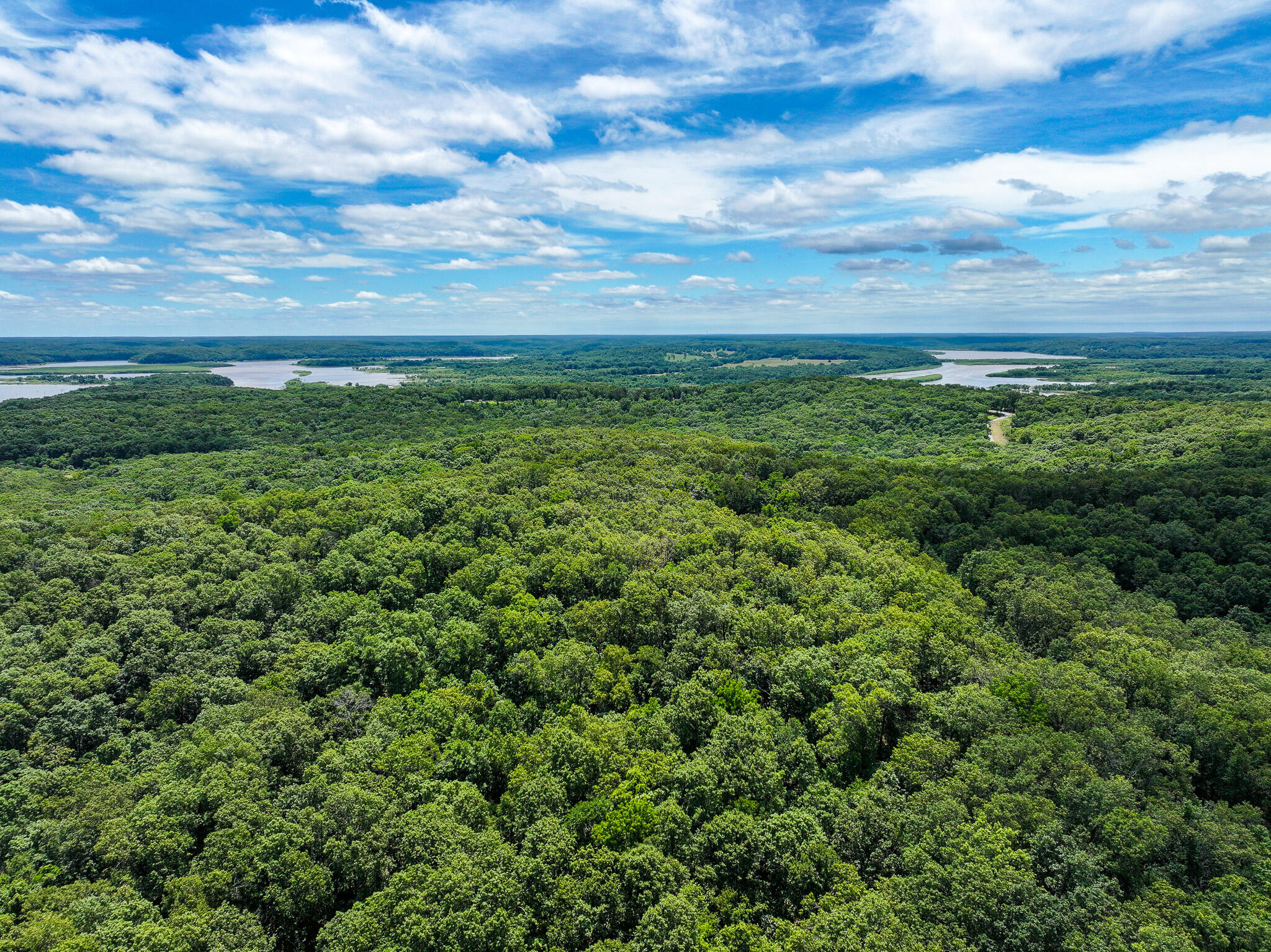Photo 7 - Land for sale – 5760 NE 817 Pvt Road  Osceola, MO