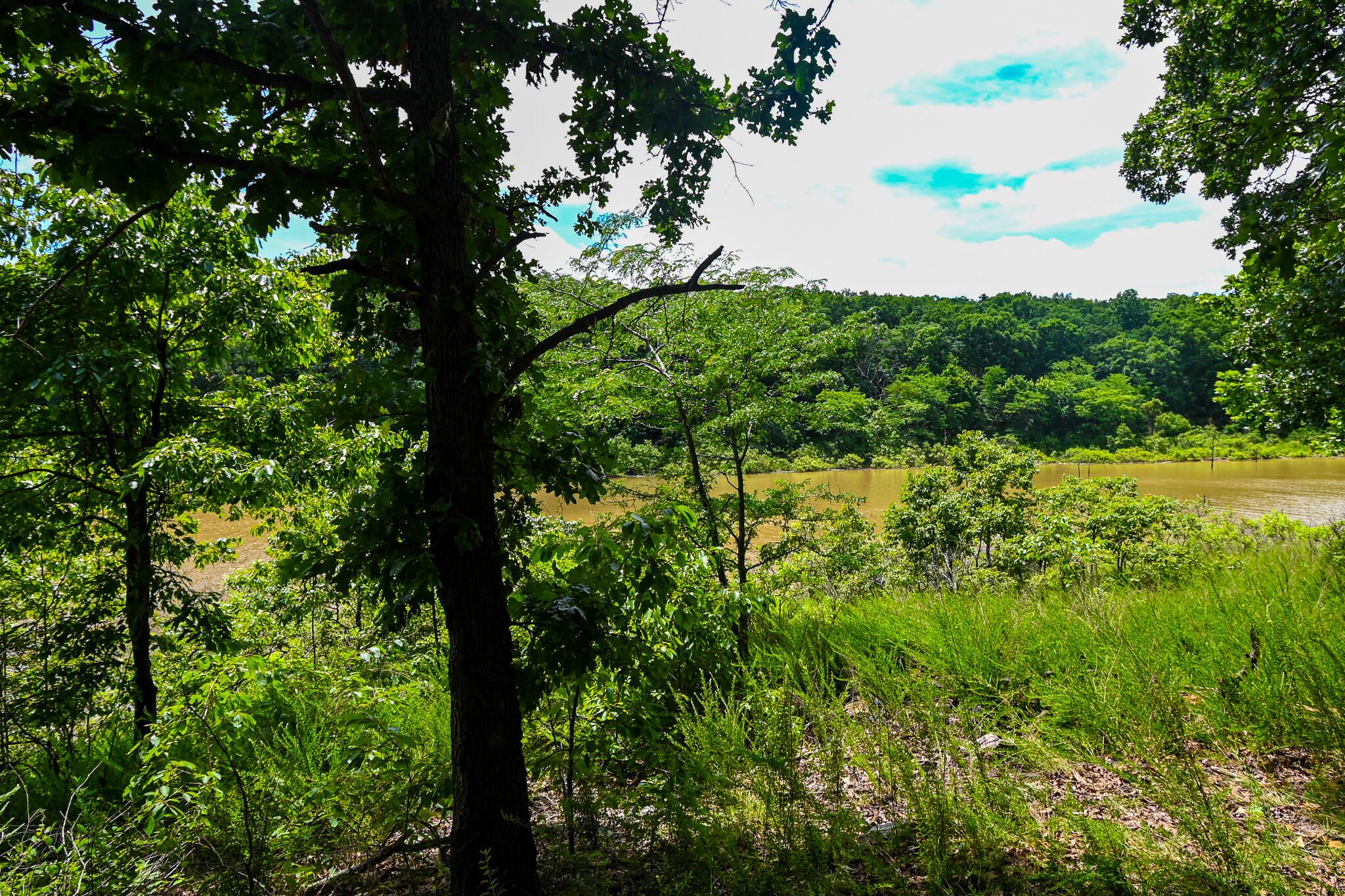 Photo 46 - Land for sale – 5760 NE 817 Pvt Road  Osceola, MO