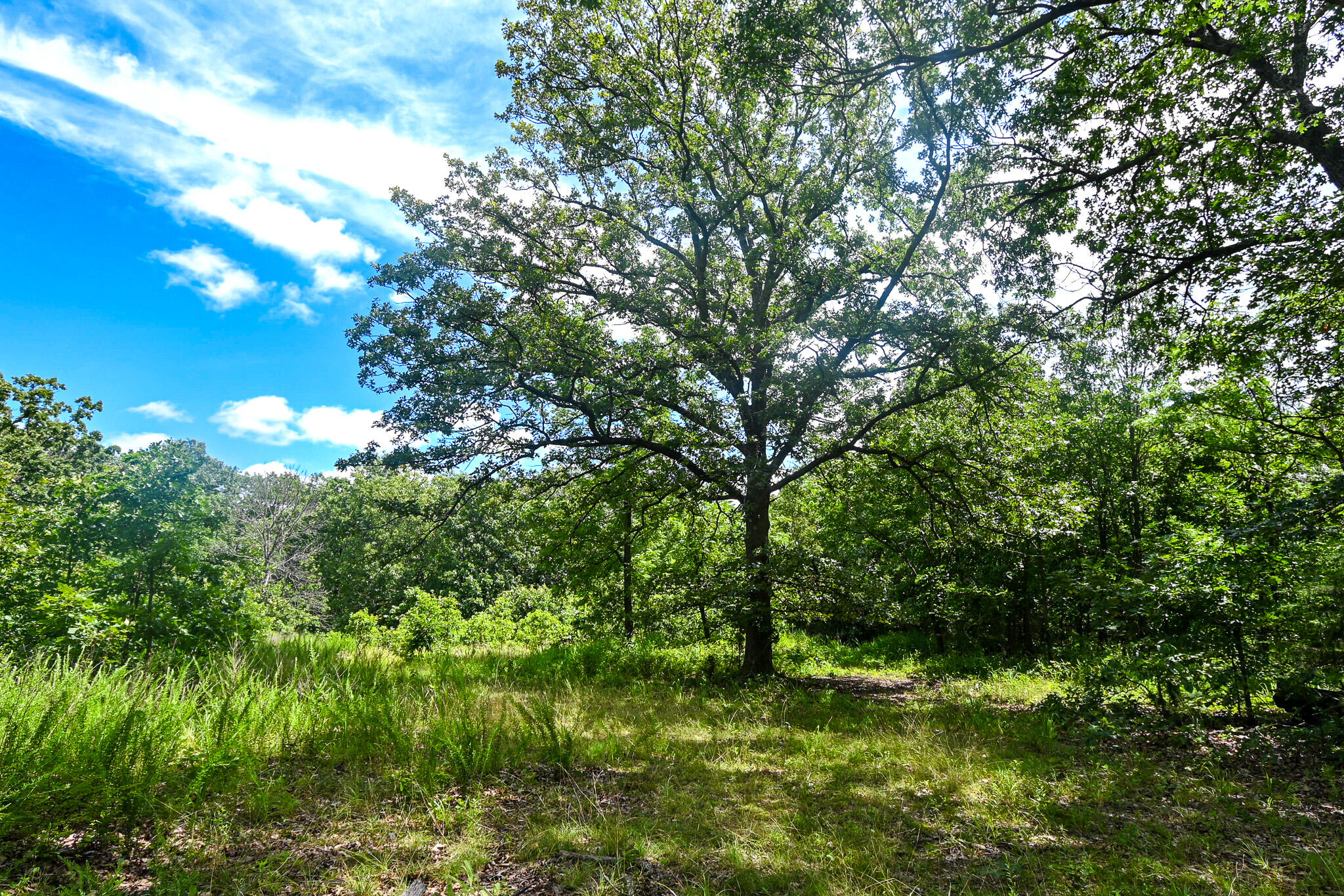 Photo 43 - Land for sale – 5760 NE 817 Pvt Road  Osceola, MO