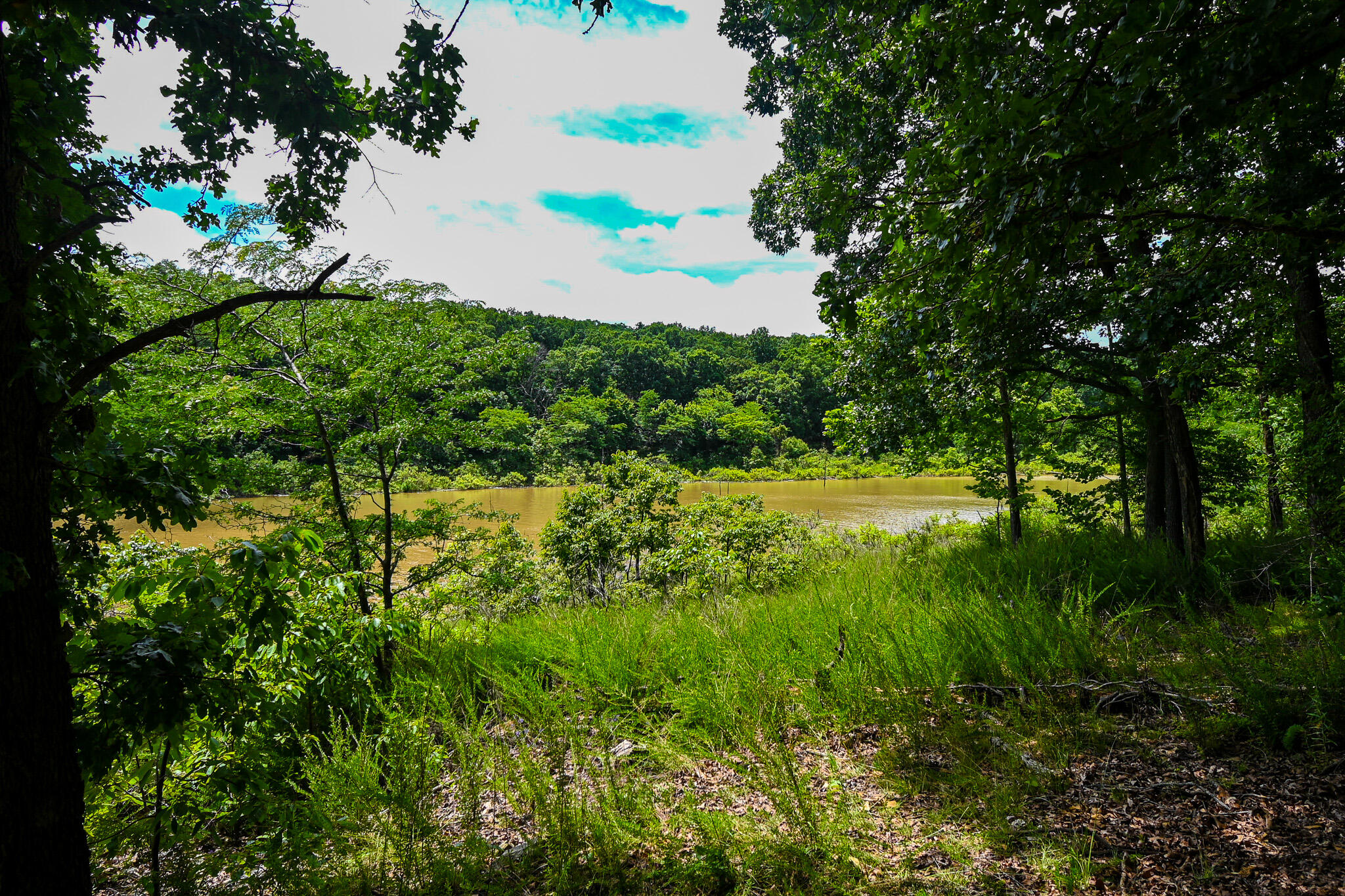 Photo 11 - Land for sale – 5760 NE 817 Pvt Road  Osceola, MO