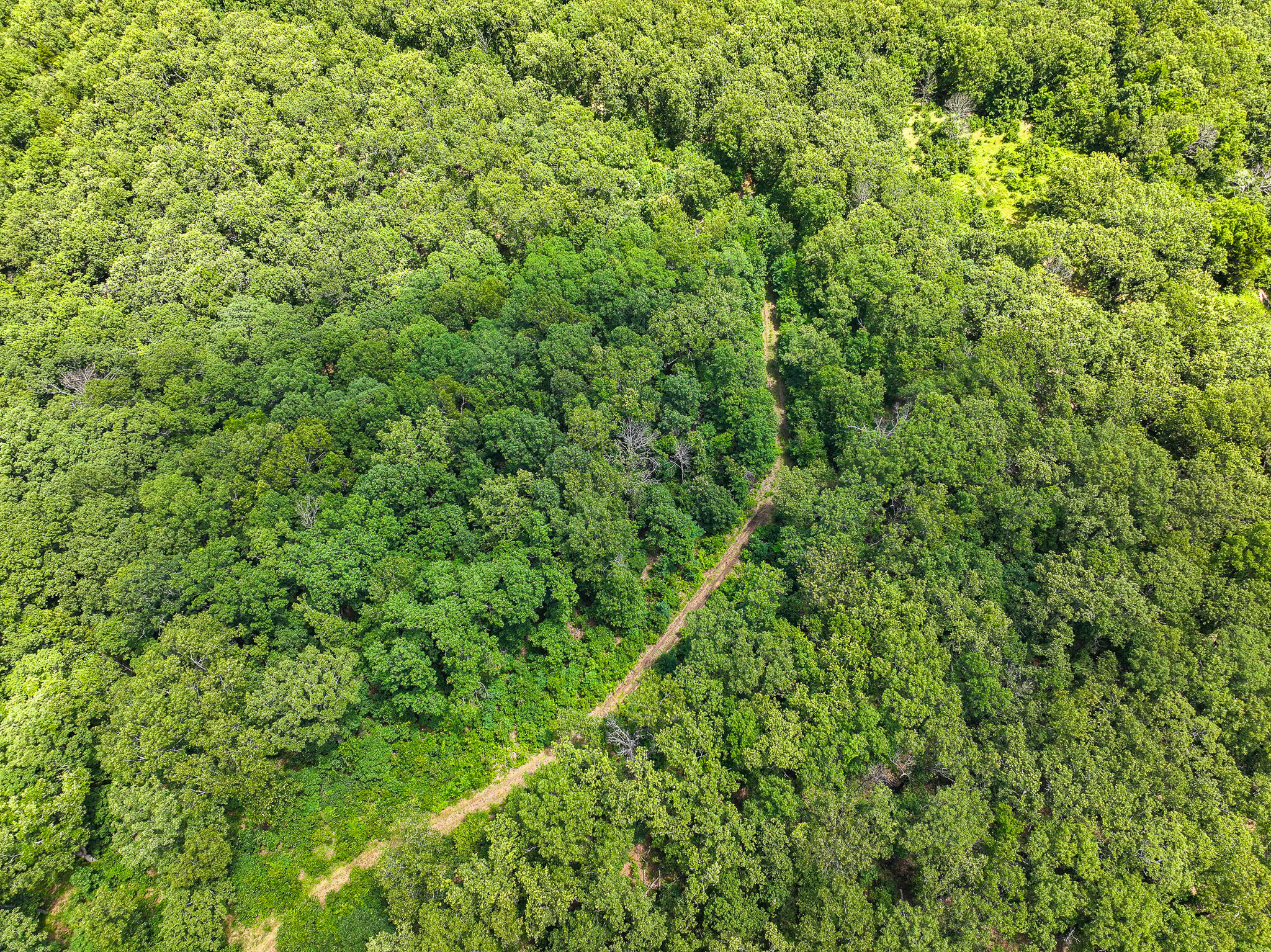 Photo 3 - Land for sale – 5760 NE 817 Pvt Road  Osceola, MO