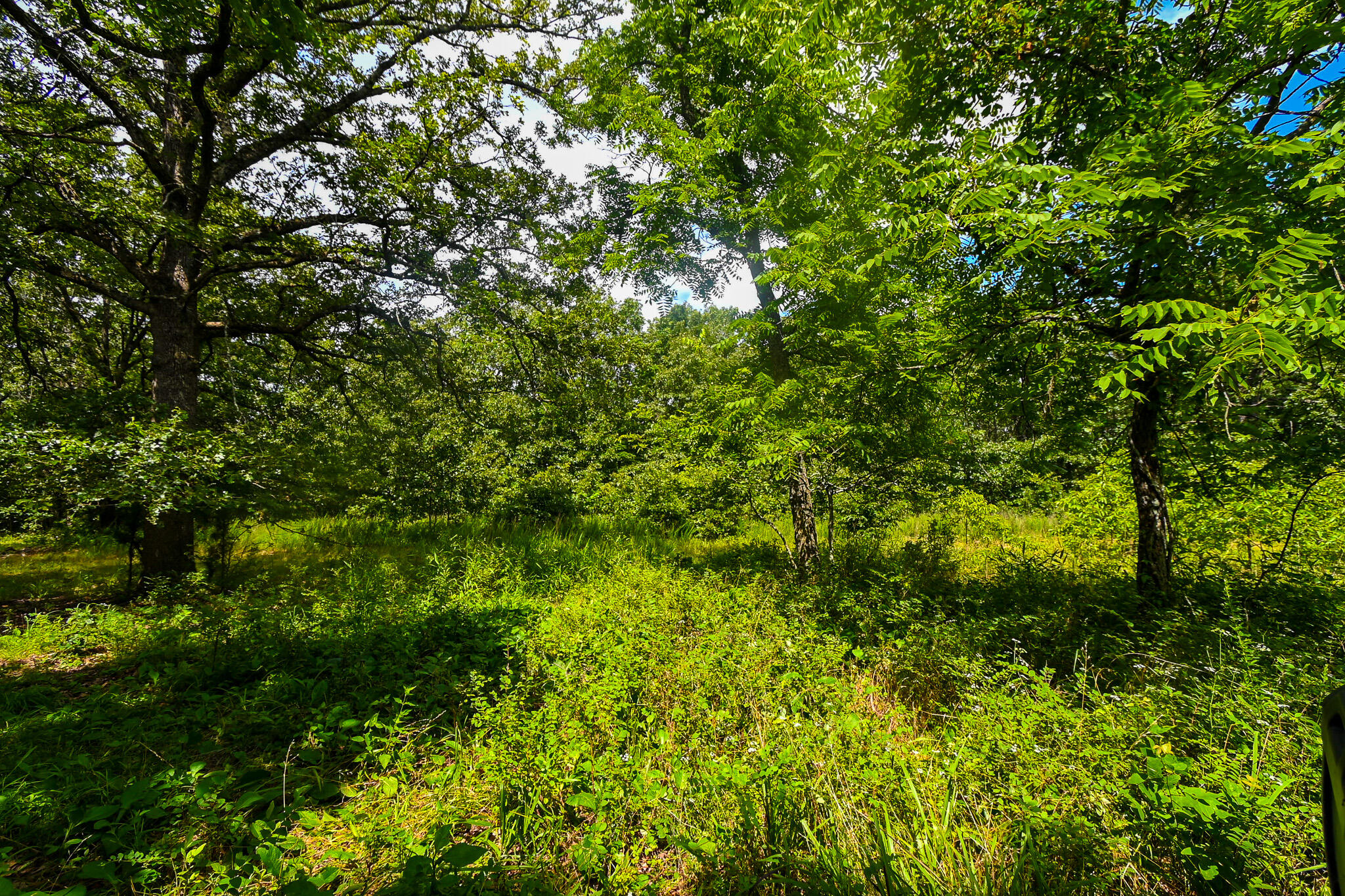 Photo 44 - Land for sale – 5760 NE 817 Pvt Road  Osceola, MO