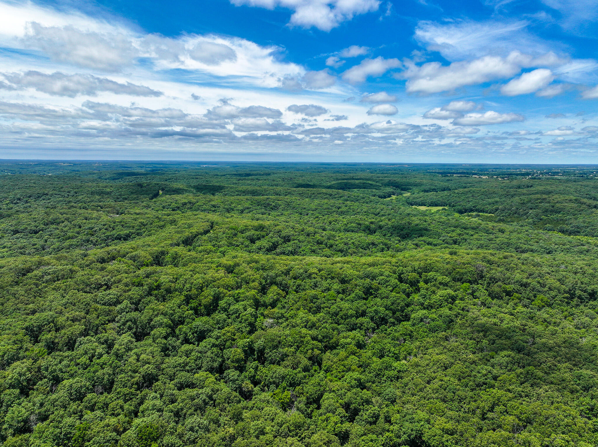 Photo 38 - Land for sale – 5760 NE 817 Pvt Road  Osceola, MO