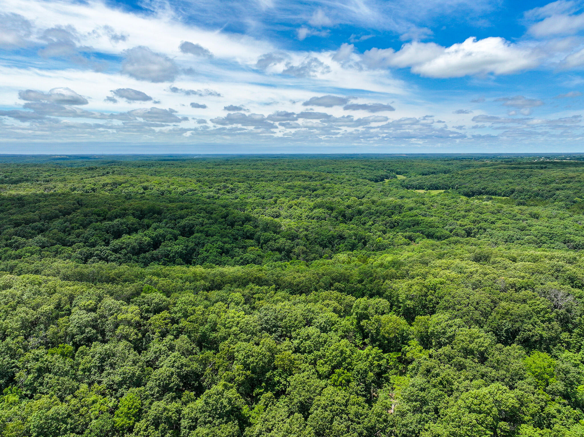 Photo 25 - Land for sale – 5760 NE 817 Pvt Road  Osceola, MO