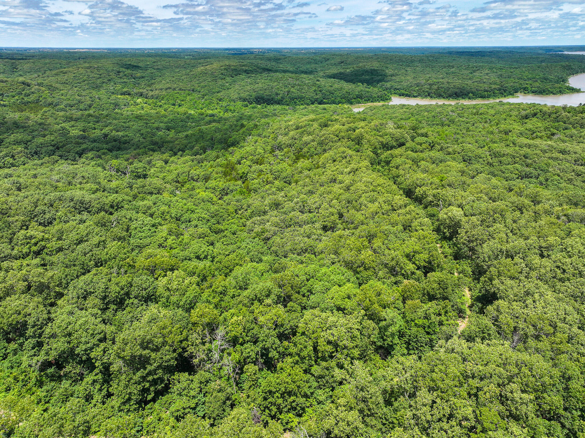 Photo 31 - Land for sale – 5760 NE 817 Pvt Road  Osceola, MO