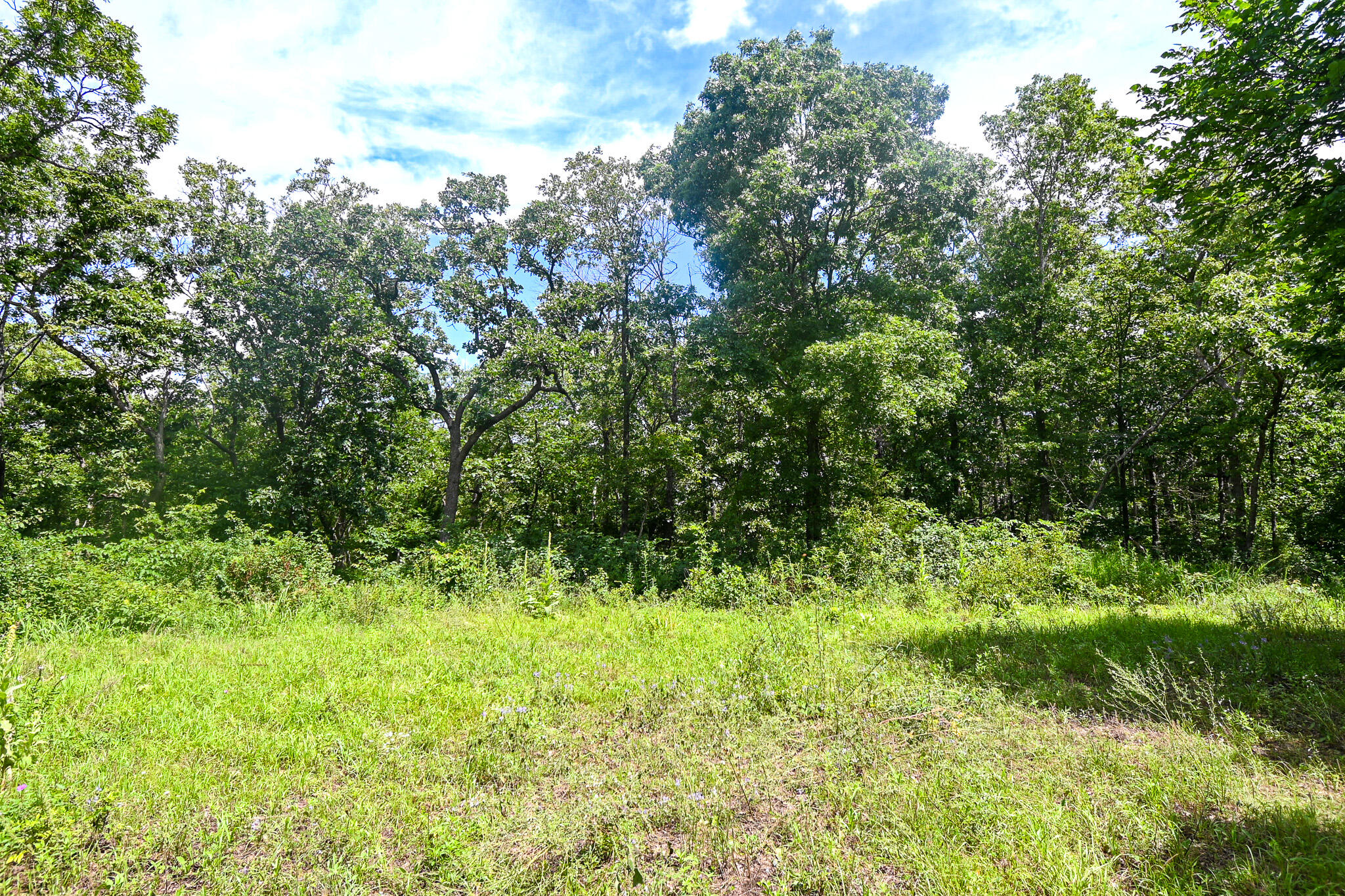 Photo 9 - Land for sale – 5760 NE 817 Pvt Road  Osceola, MO