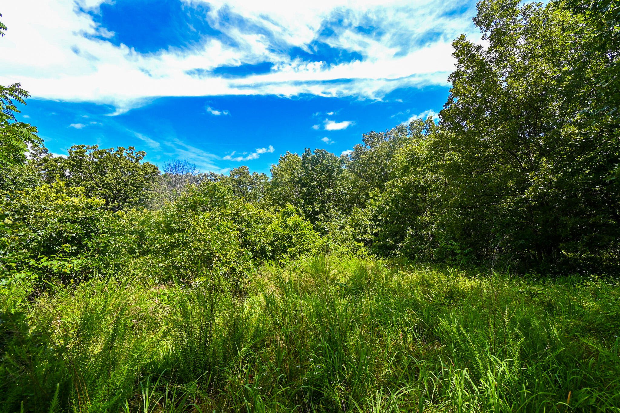 Photo 5 - Land for sale – 5760 NE 817 Pvt Road  Osceola, MO