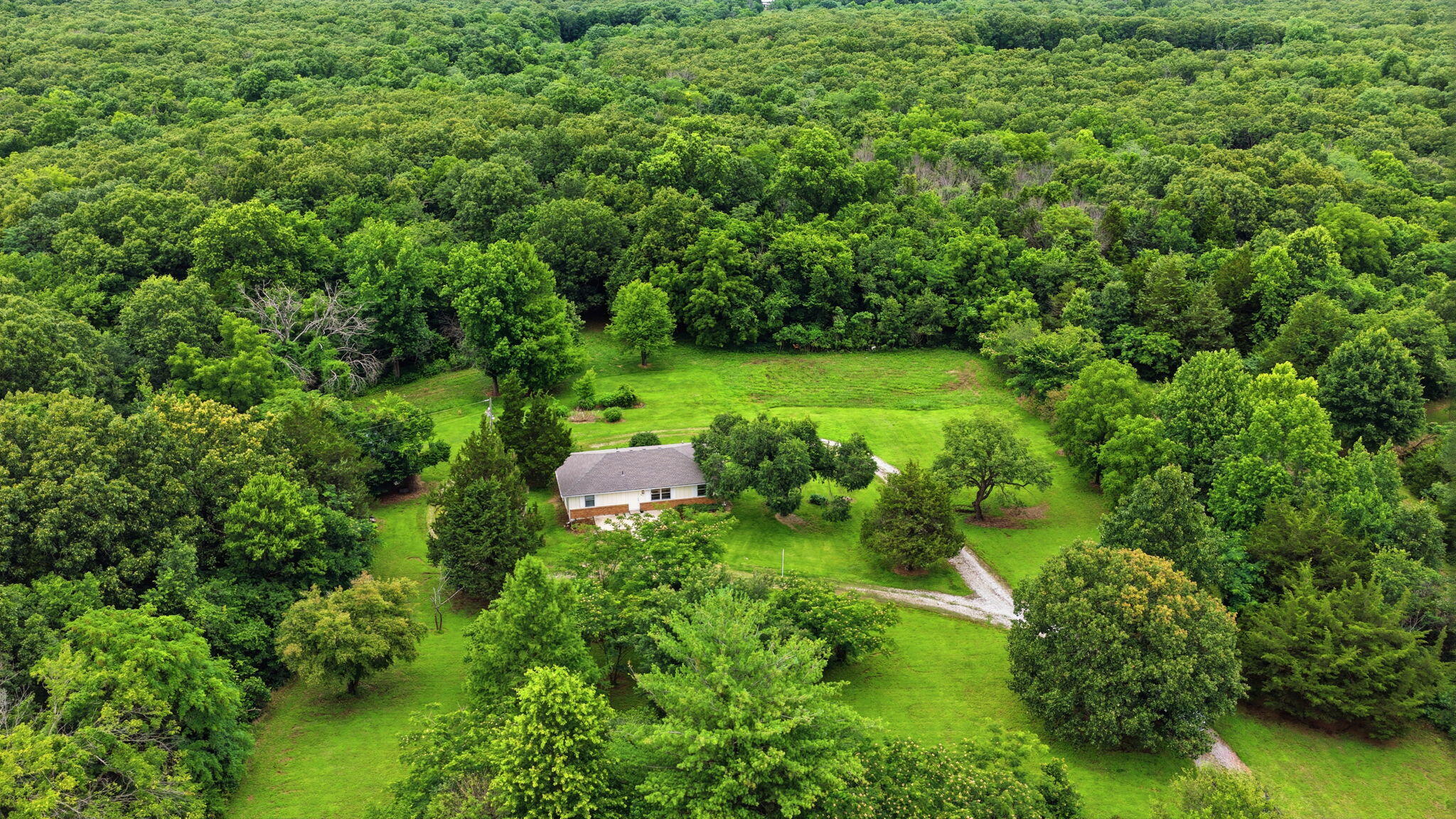 Photo 47 - Farm for sale – 6815  Us-54   Collins, MO
