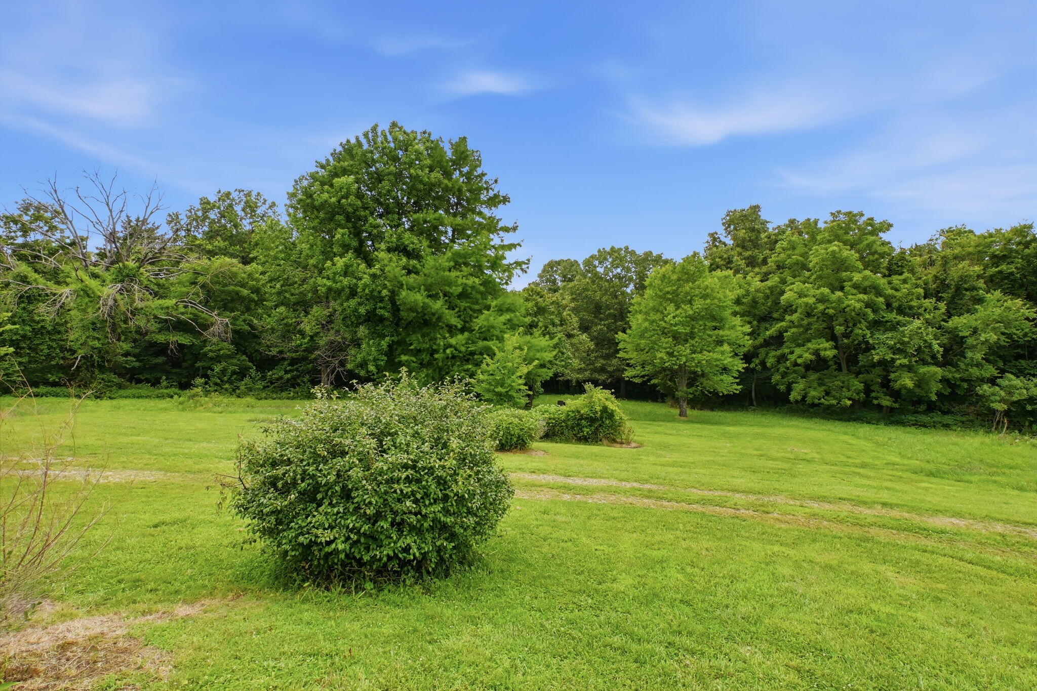 Photo 37 - Farm for sale – 6815  Us-54   Collins, MO