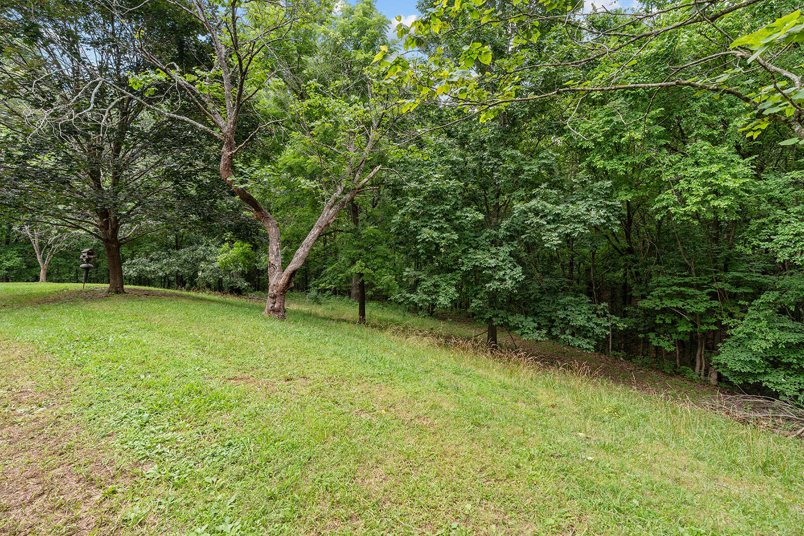 Photo 39 - Residential for sale – 612  Stoneshire Drive  Highlandville, MO