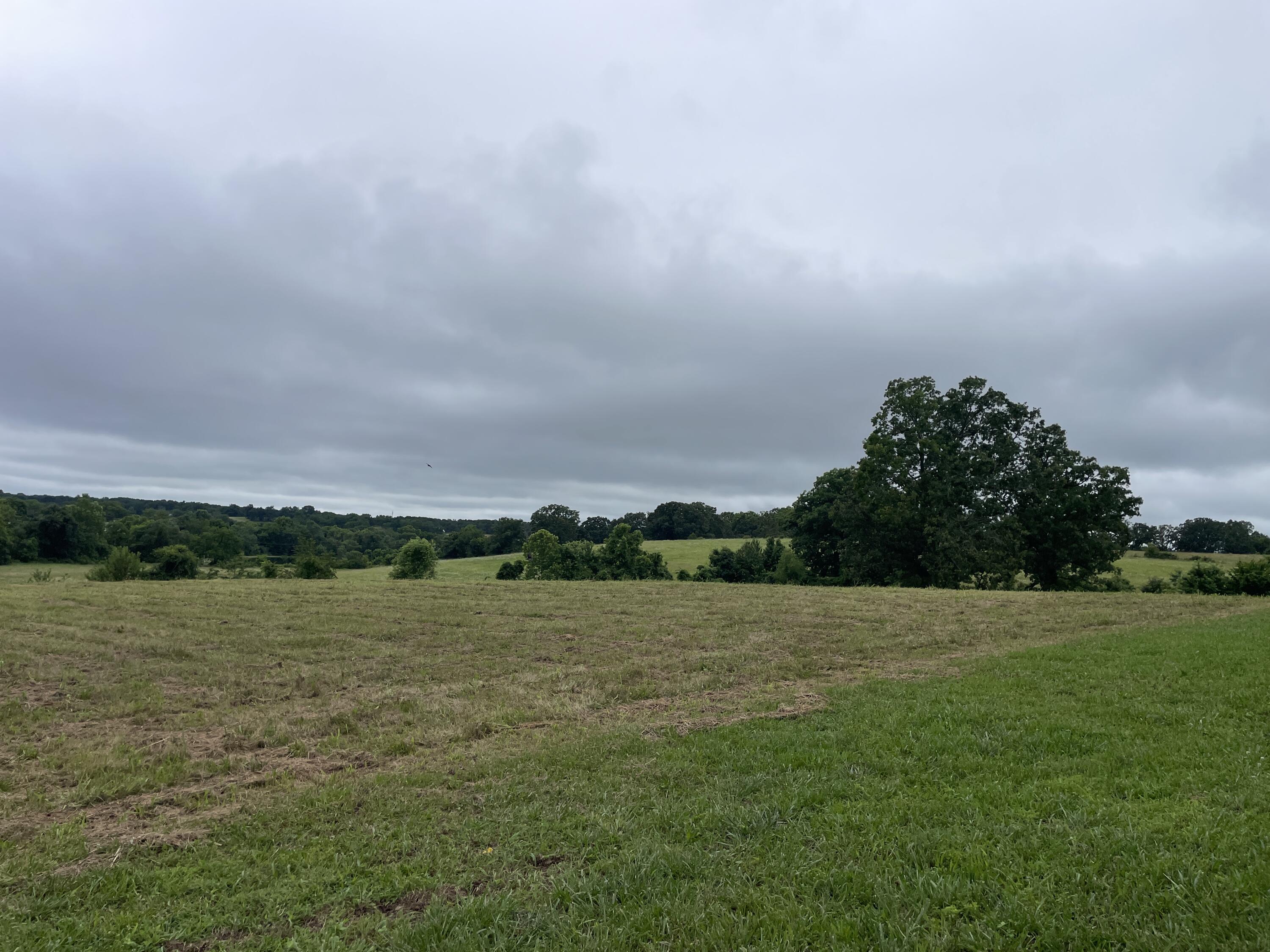 Photo 17 - Farm for sale – 1107  Lower Ford Road  Ava, MO