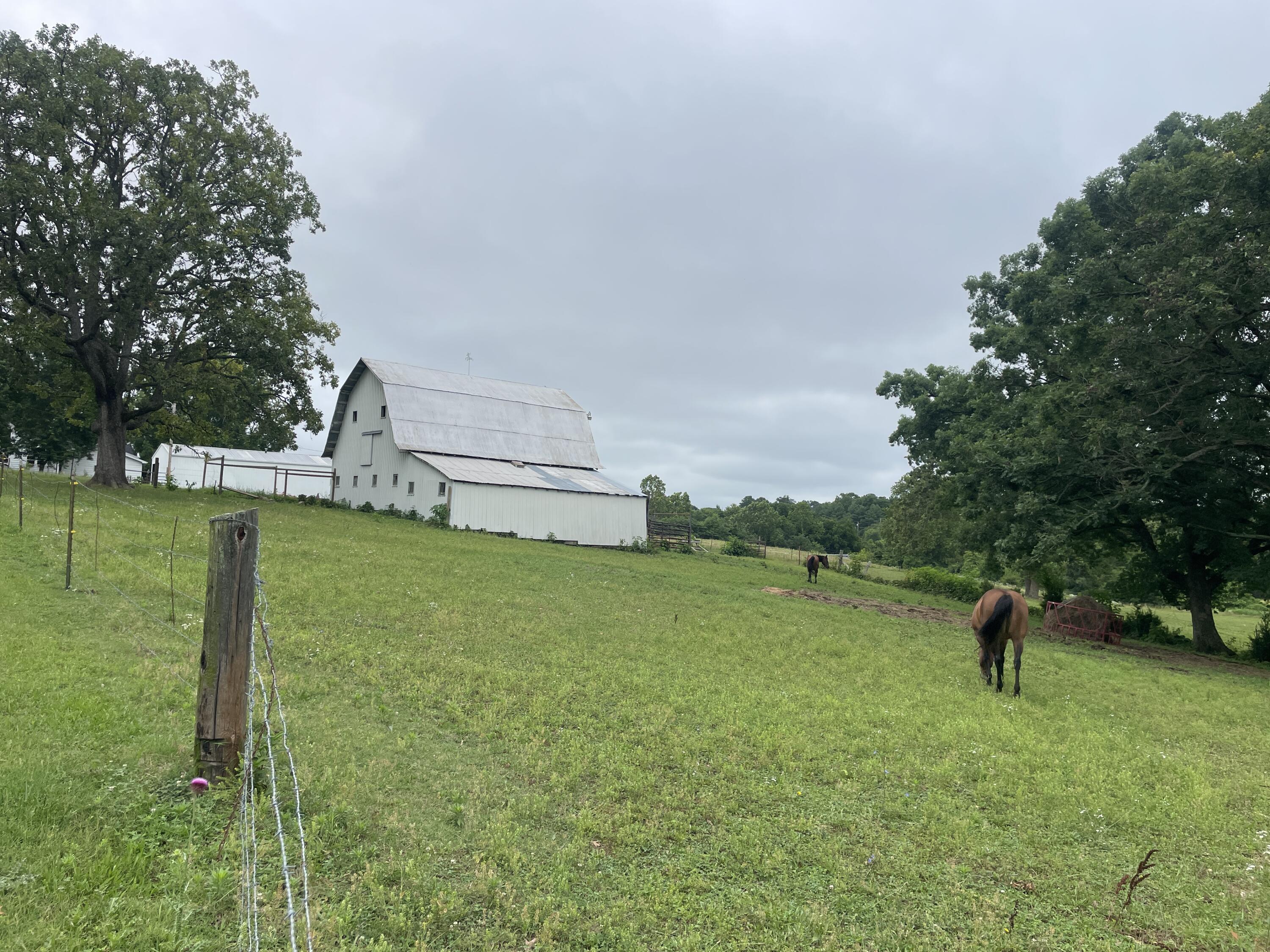 Photo 2 - Farm for sale – 1107  Lower Ford Road  Ava, MO
