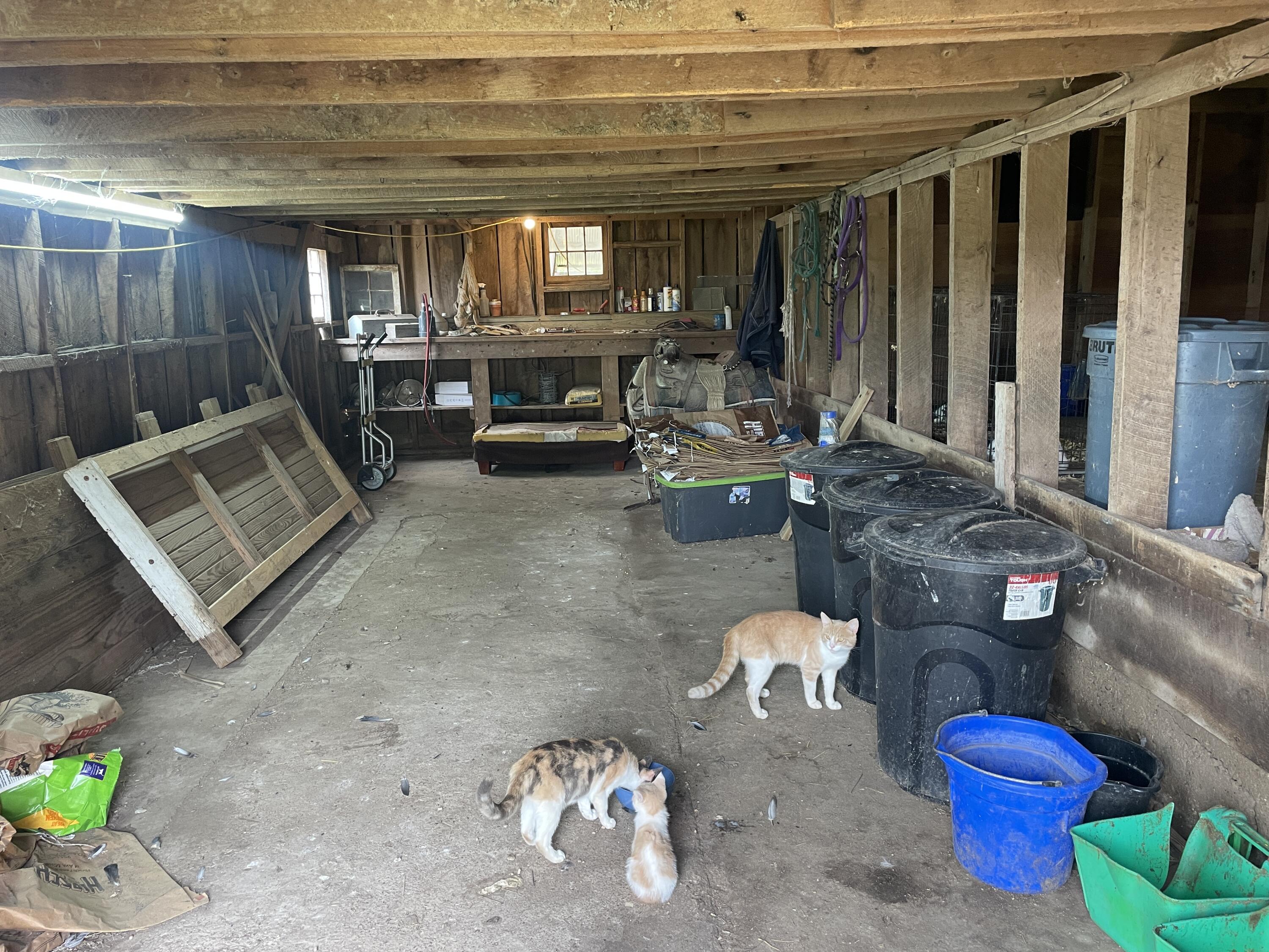 Photo 12 - Farm for sale – 1107  Lower Ford Road  Ava, MO