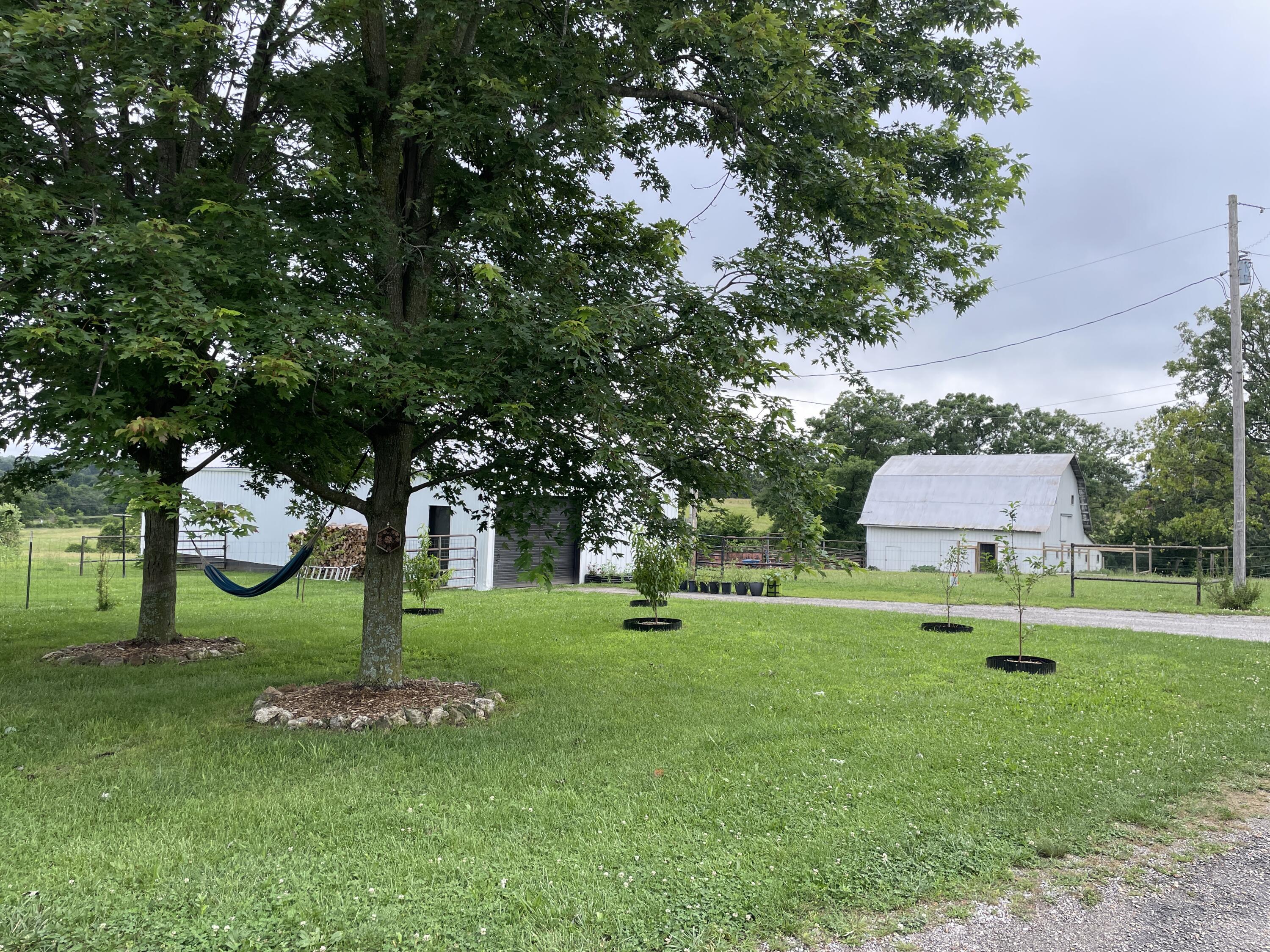 Photo 4 - Farm for sale – 1107  Lower Ford Road  Ava, MO