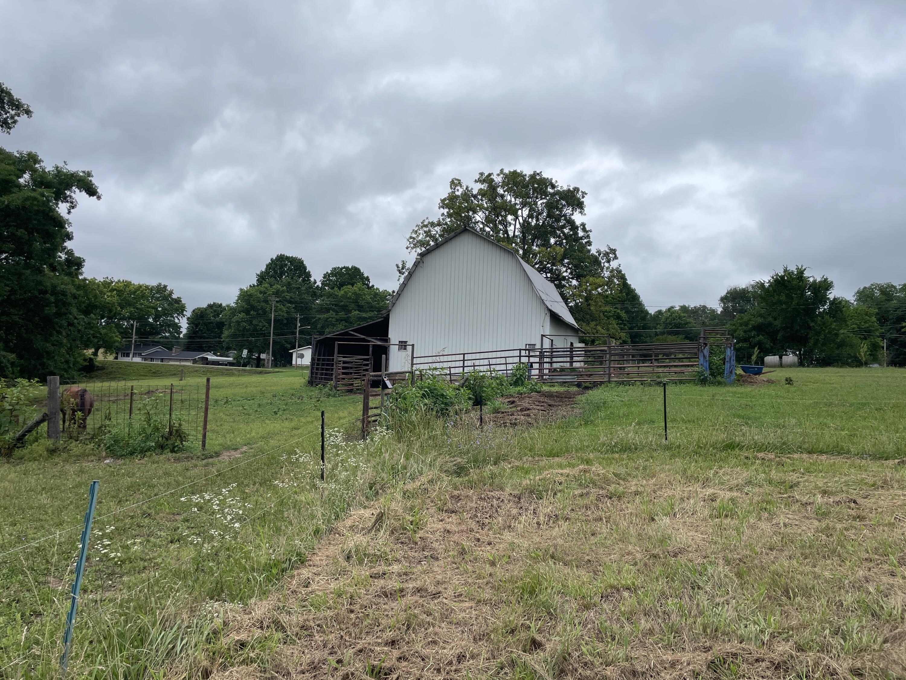 Photo 6 - Farm for sale – 1107  Lower Ford Road  Ava, MO
