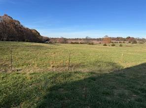 Photo 6 - Land for sale – 10916  Blue Bird Road  Gravette, AR