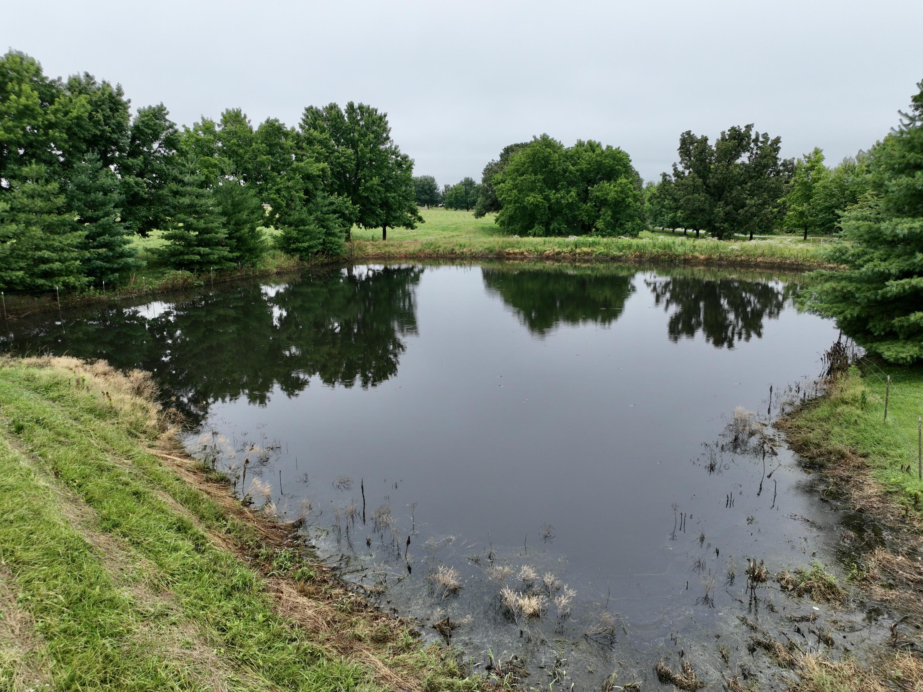 Photo 11 - Residential for sale – 12459  Farm Road 1015   Exeter, MO