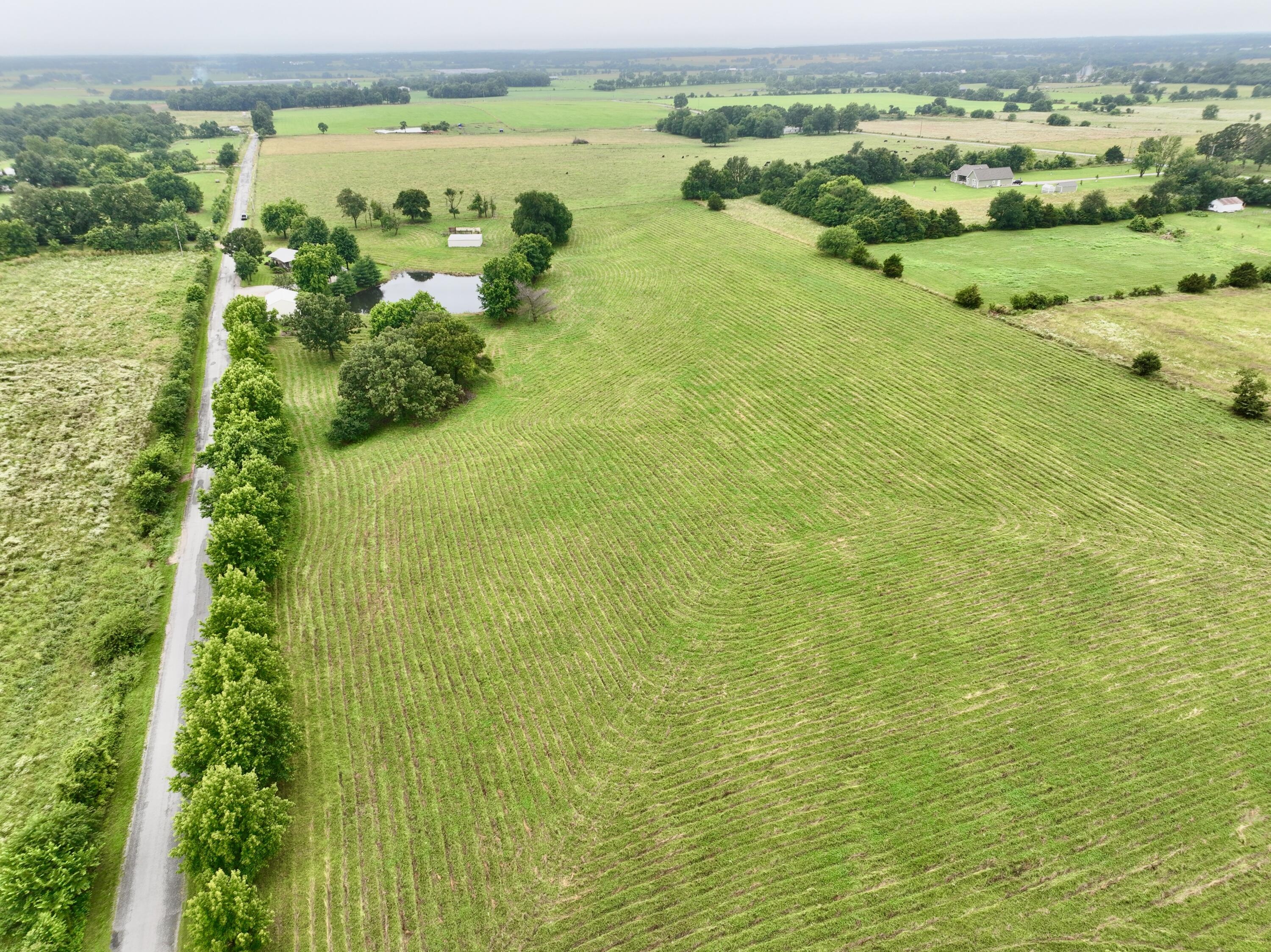 Photo 9 - Residential for sale – 12459  Farm Road 1015   Exeter, MO