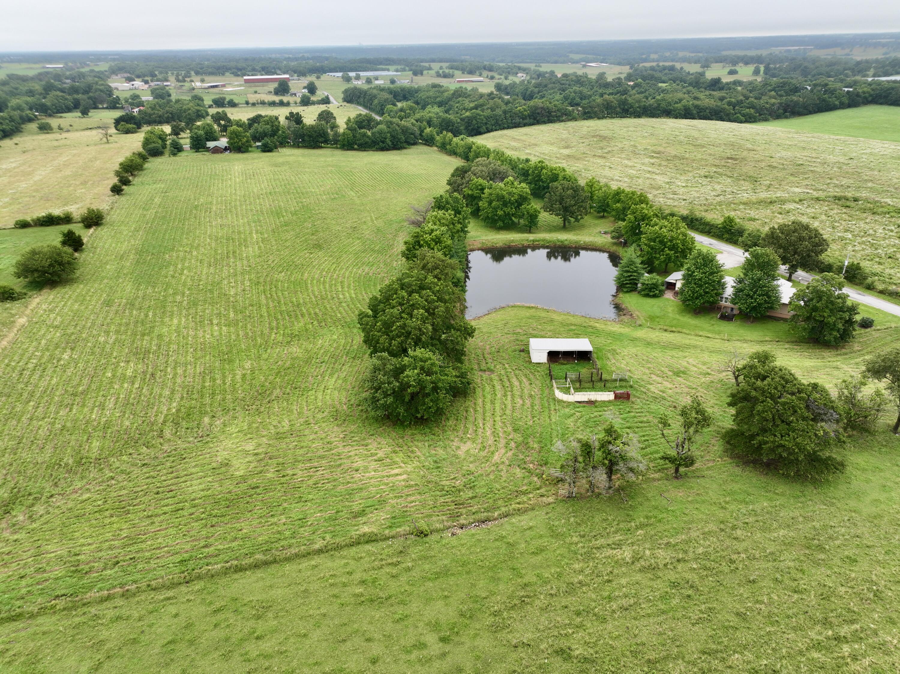 Photo 4 - Residential for sale – 12459  Farm Road 1015   Exeter, MO