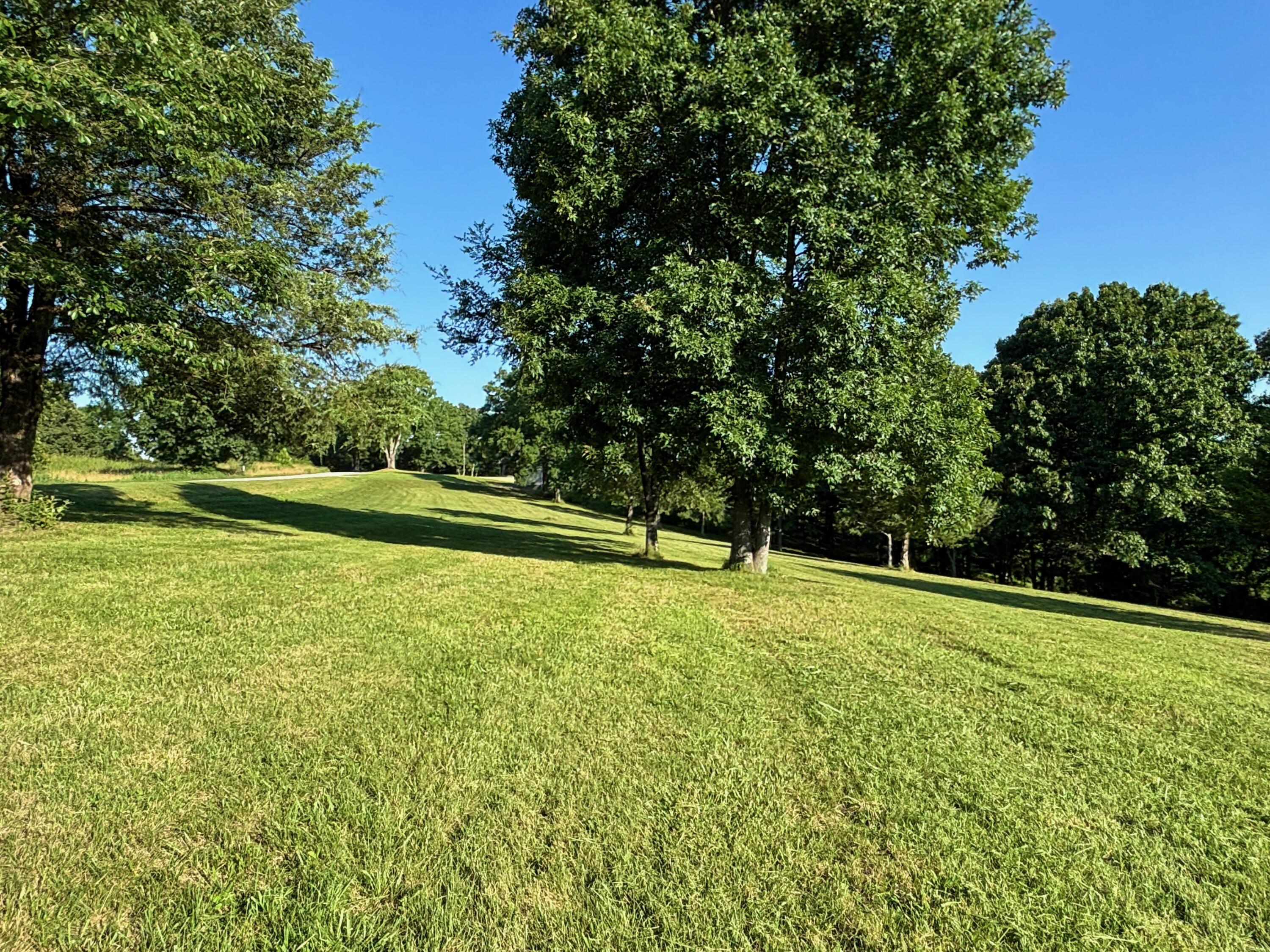 Photo 60 - Residential for sale – 368  Regal Heights Lane  Galena, MO